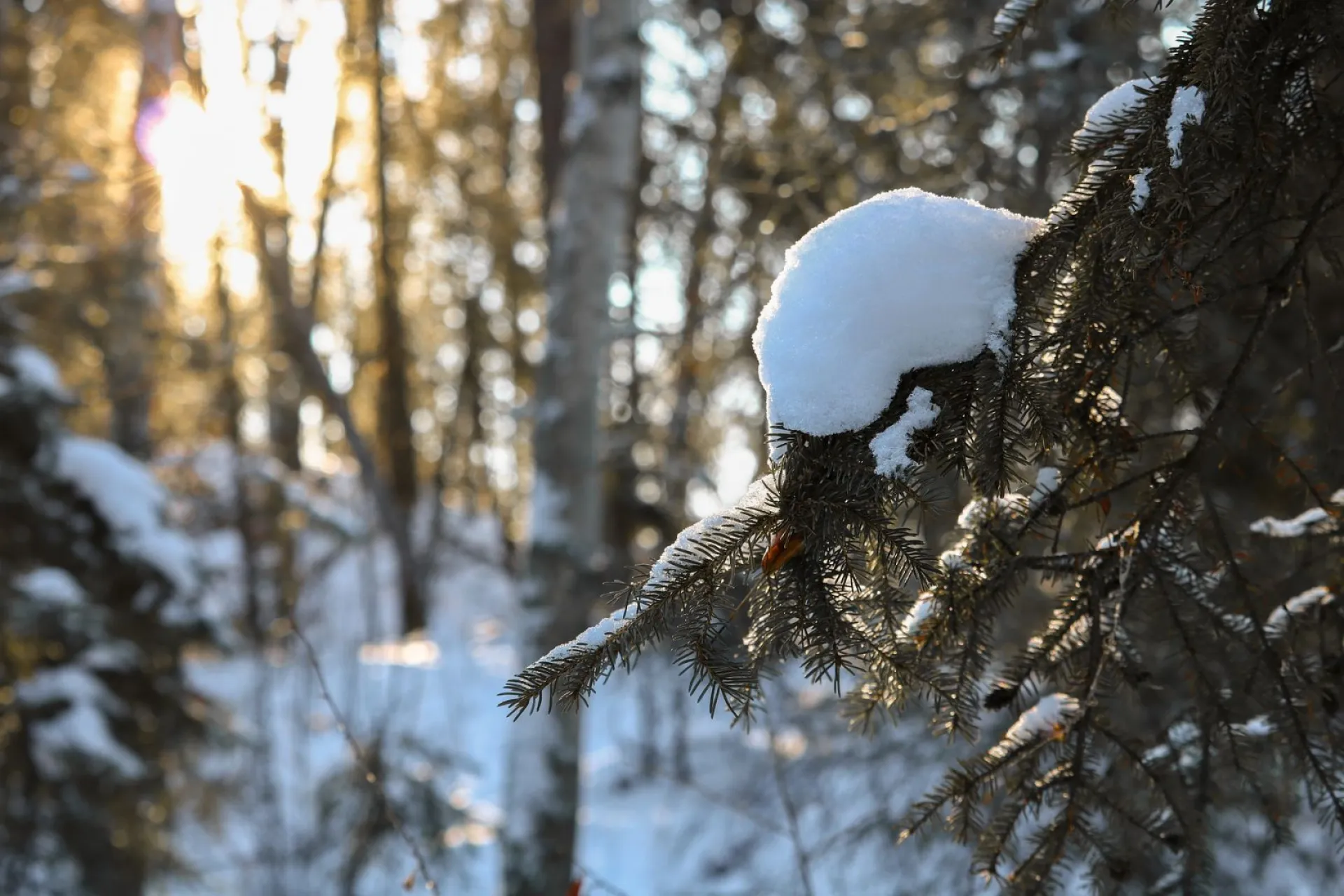 Агеев день: традиции и приметы на 29 декабря Агеев день: традиции и приметы на 29 декабря