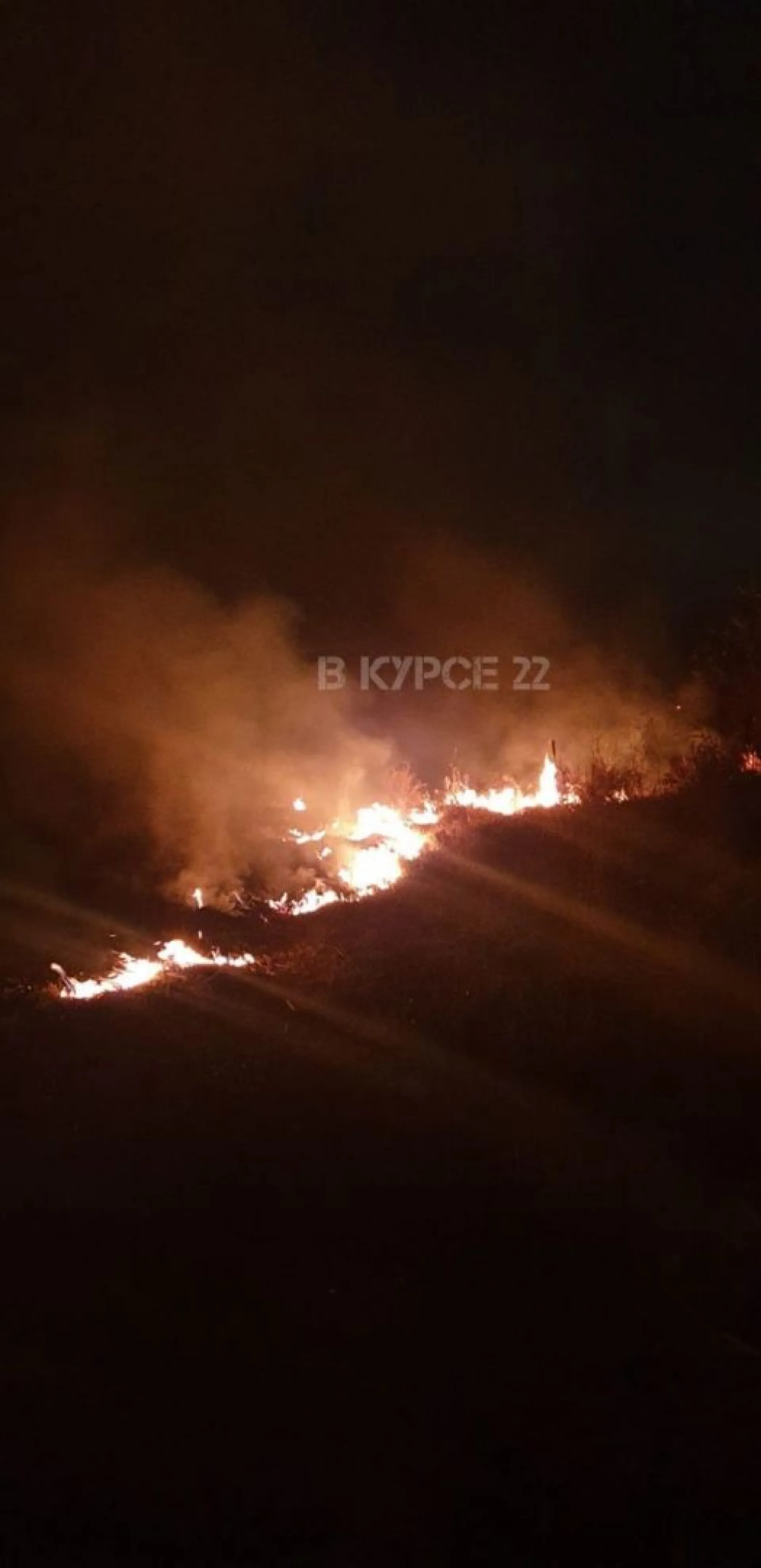 Огонь накрыл поля возле села в Алтайском крае