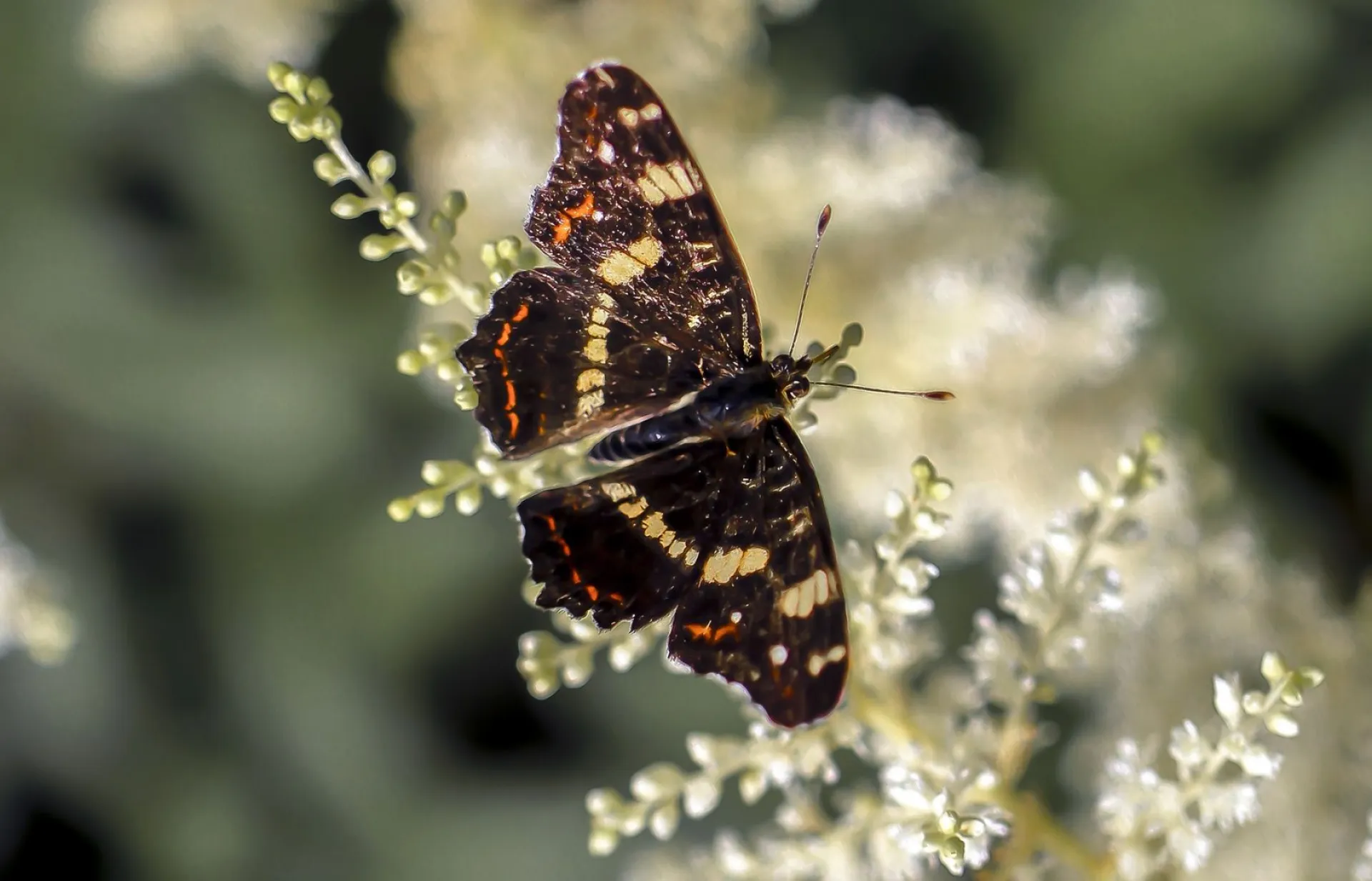 Мокий Мокрый: традиции и приметы на 24 мая Мокий Мокрый: традиции и приметы на 24 мая
