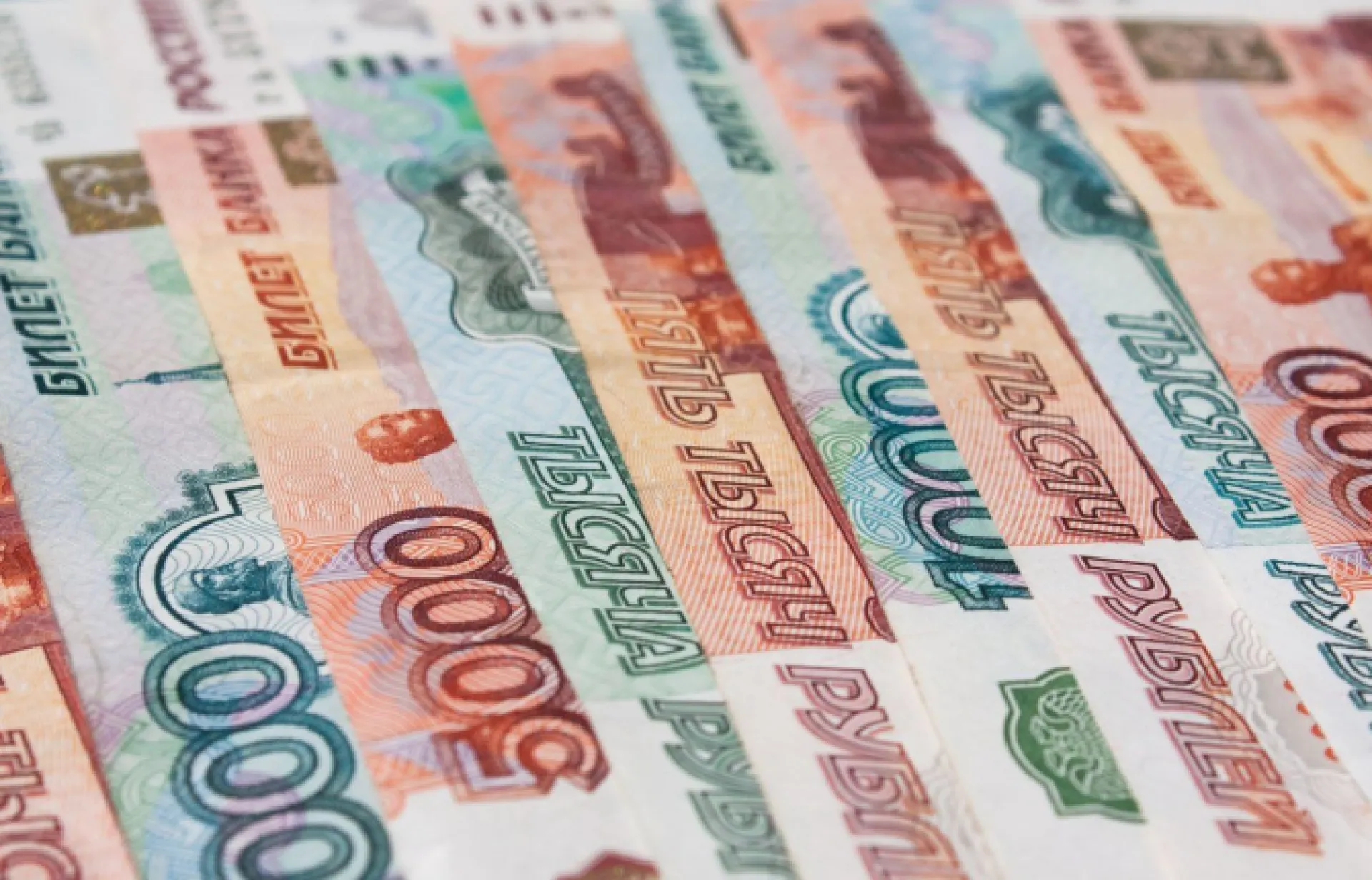 800 миллионов рублей вложили хозяйства Алтайского края в строительство и модернизацию объектов животноводства