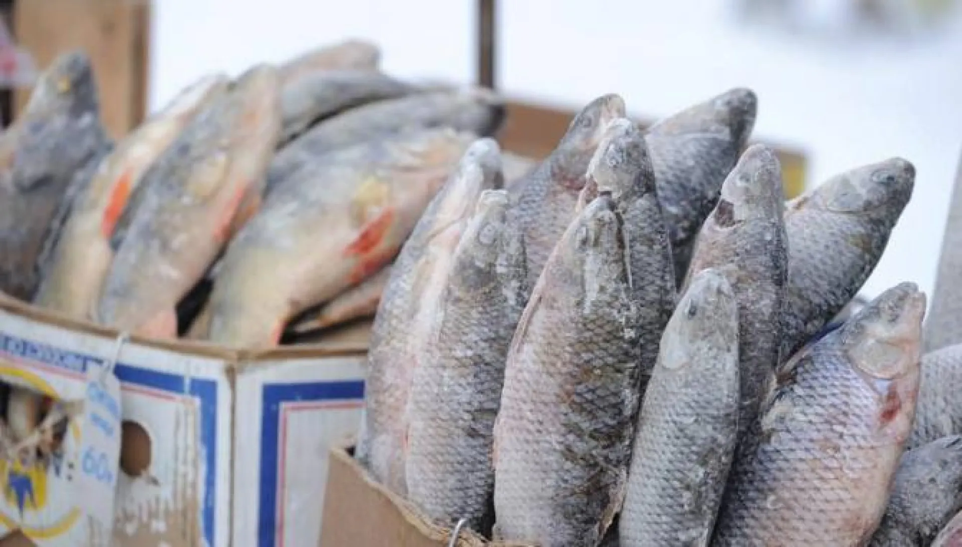 Роспотребнадзор предупреждает об опасных продуктах в местах несанкционированной торговли в Алтайском крае Роспотребнадзор предупреждает об опасных продуктах в местах несанкционированной торговли в Алтайском крае