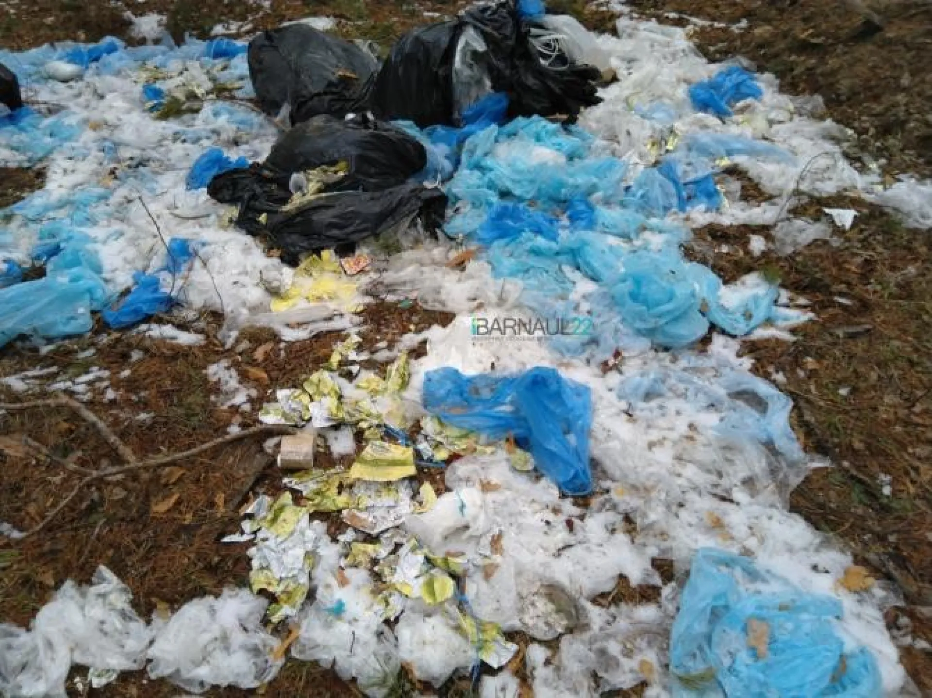Новую свалку обнаружили в лесу в Алтайском крае Новую свалку обнаружили в лесу в Алтайском крае