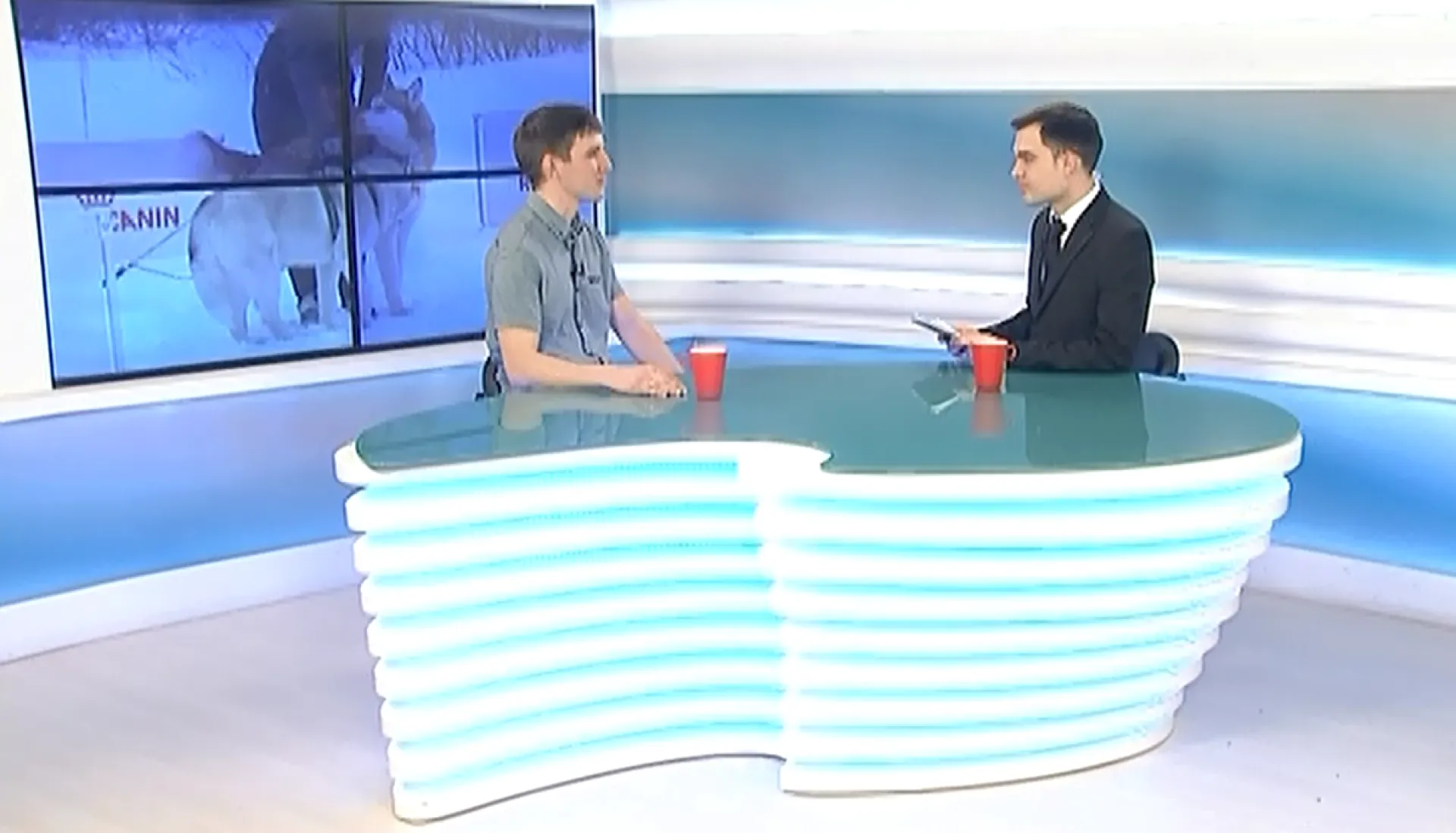 «Интервью дня»: руководитель Центра ездового спорта «Алтай Спирит» Иван Тимонин 