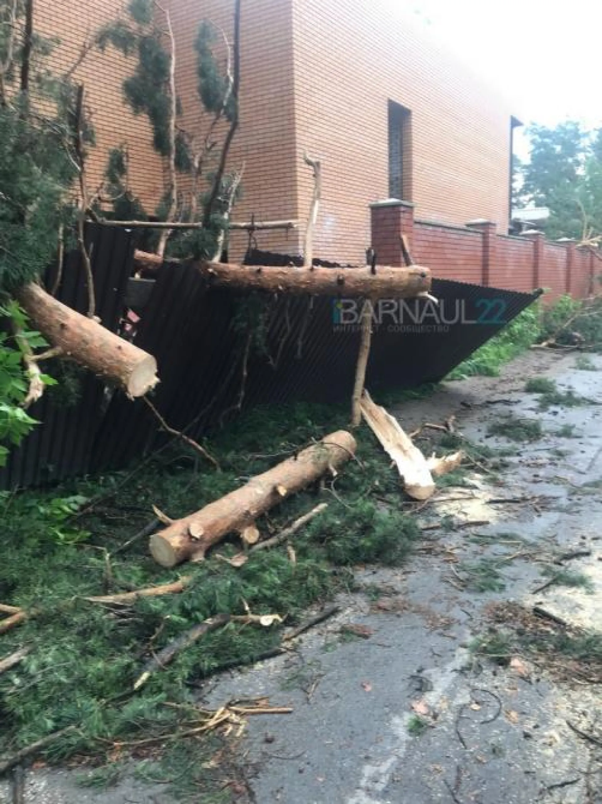 Змеиногорский тракт после бури «украсили» выкорчеванные сосны Змеиногорский тракт после бури «украсили» выкорчеванные сосны