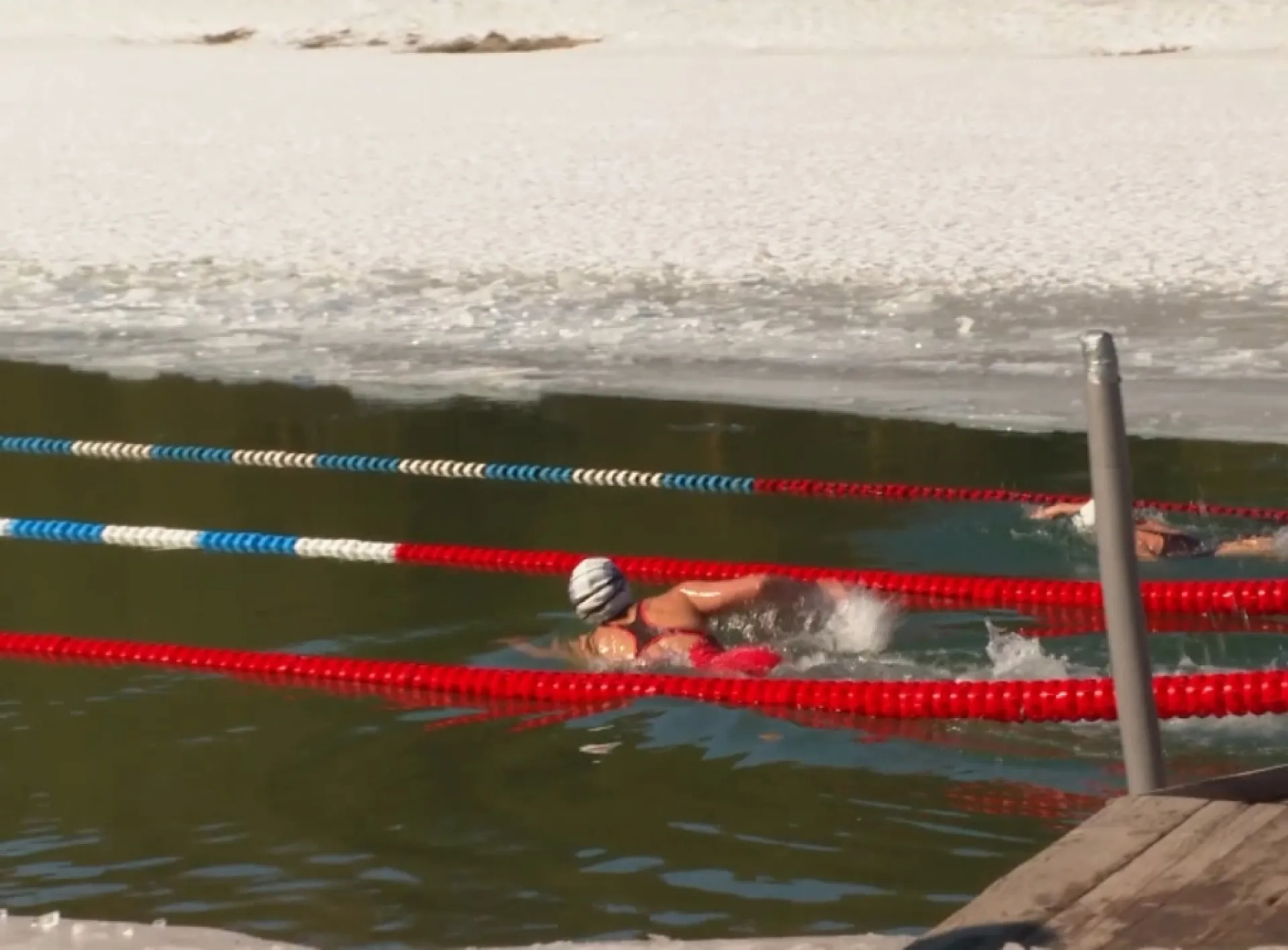 В Алтайском крае прошёл чемпионат по зимнему плаванию В Алтайском крае прошёл чемпионат по зимнему плаванию