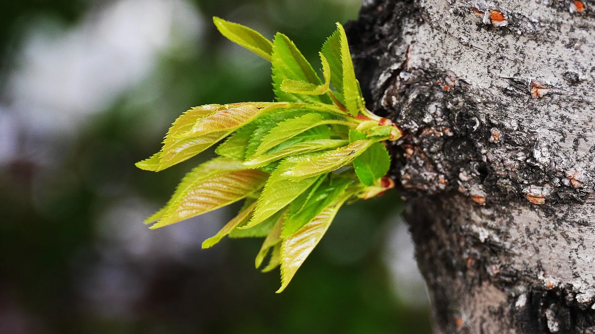 Василий Парильщик: традиции и приметы на 25 апреля Василий Парильщик: традиции и приметы на 25 апреля