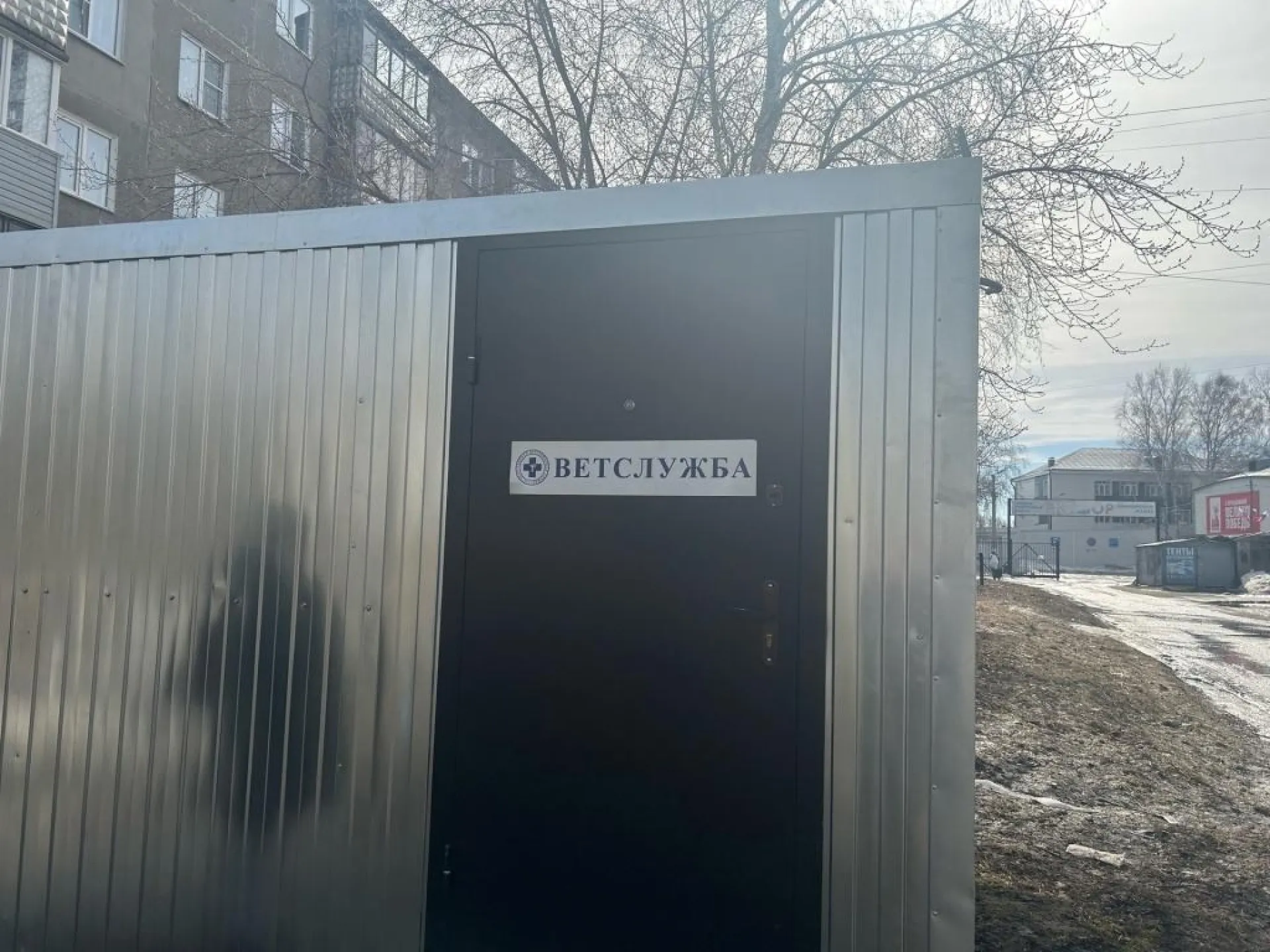 С 1 июля в Алтайском крае начнёт действовать административная ответственность за отсутствие маркирования и регистрации собак