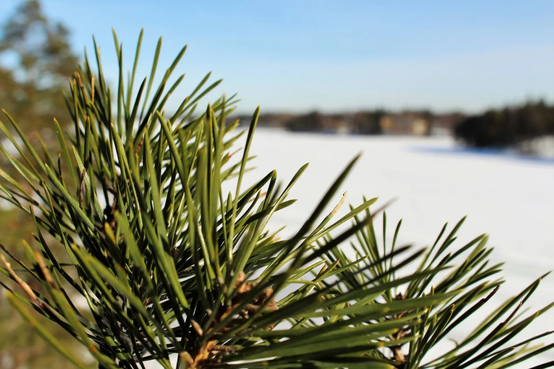 До +4: о погоде в Алтайском крае 24 марта