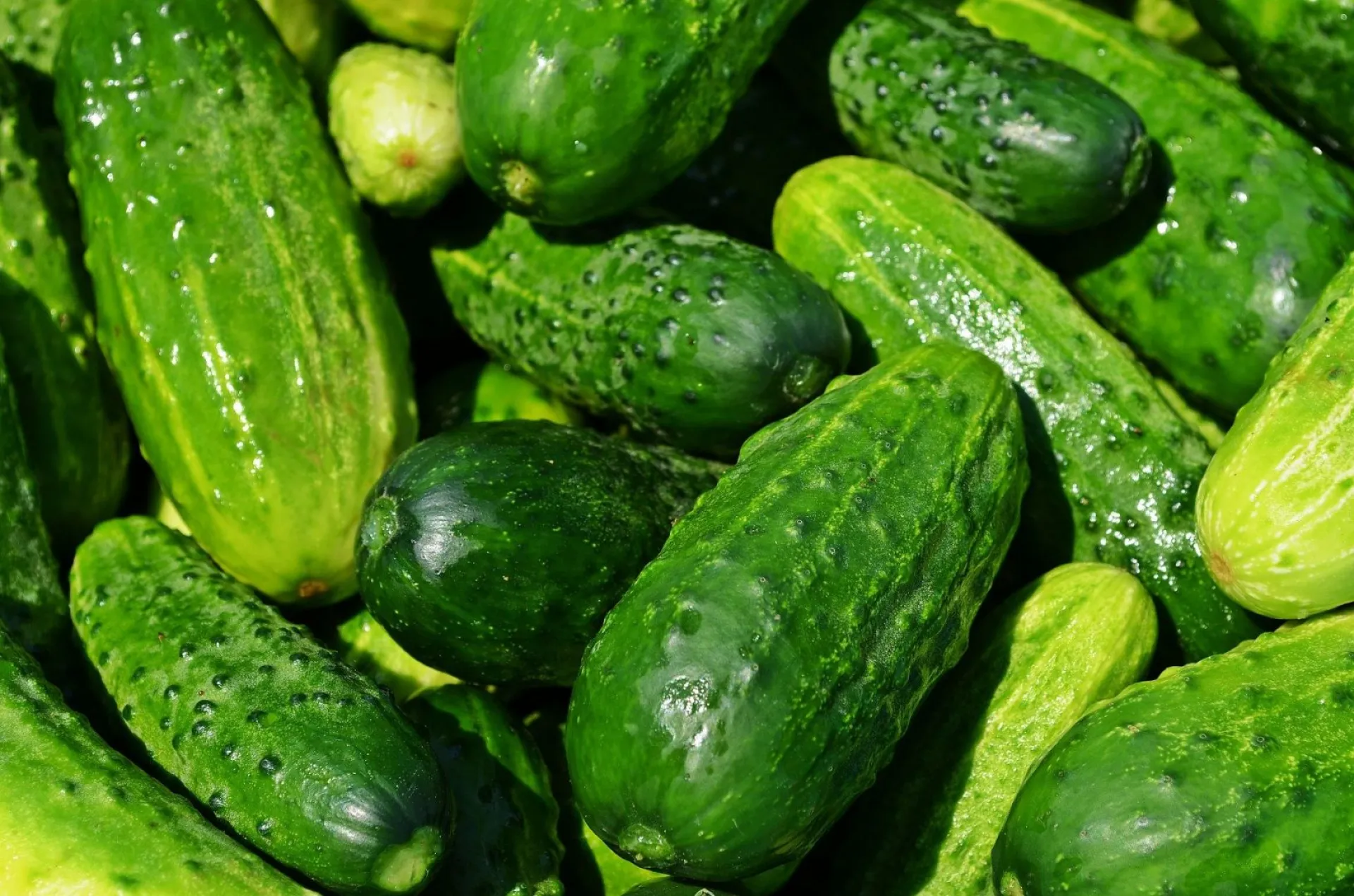 В Барнауле пройдет финальная в этом сезоне продуктовая ярмарка