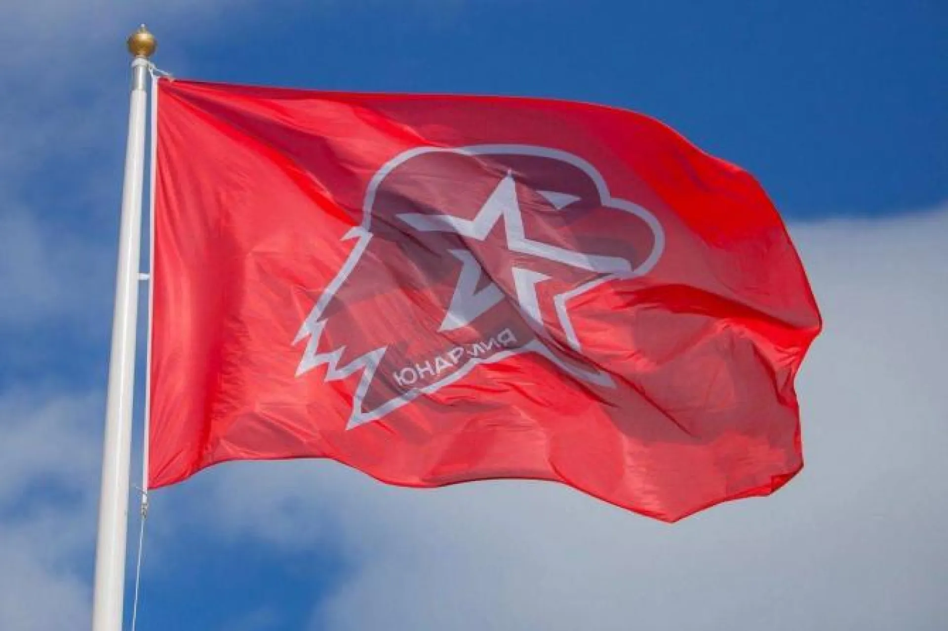 Более 300 школьников Алтайского края вступят в ряды Юнармии