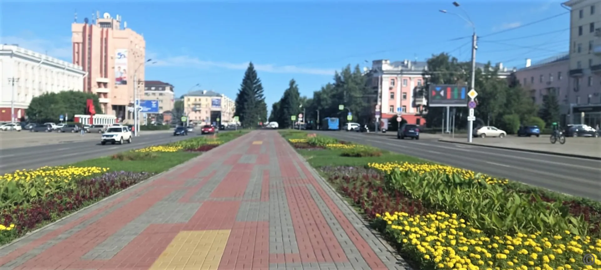 Более 450 тысяч цветов высадили на клумбах Барнаула