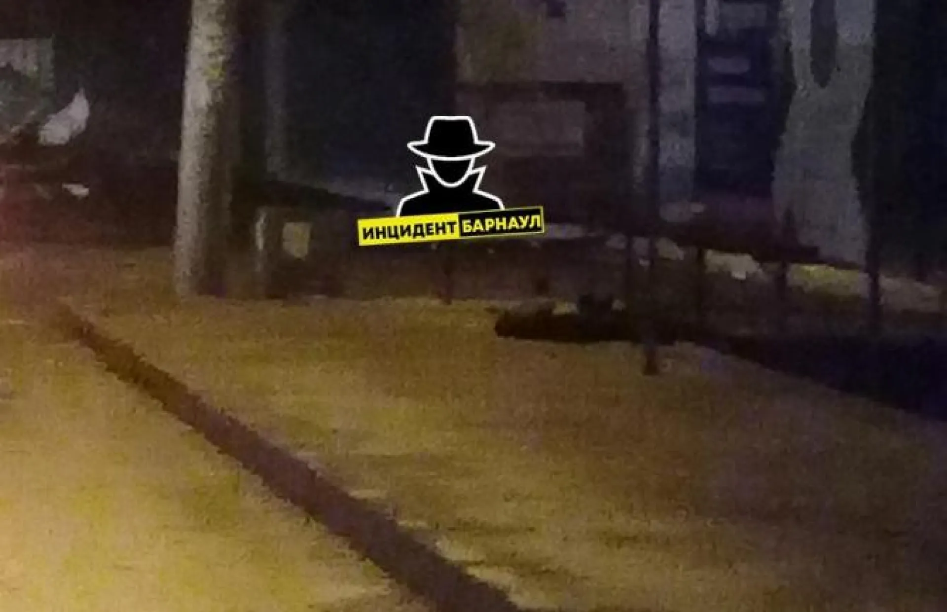 Женщина скончалась ночью на остановке в Барнауле Женщина скончалась ночью на остановке в Барнауле
