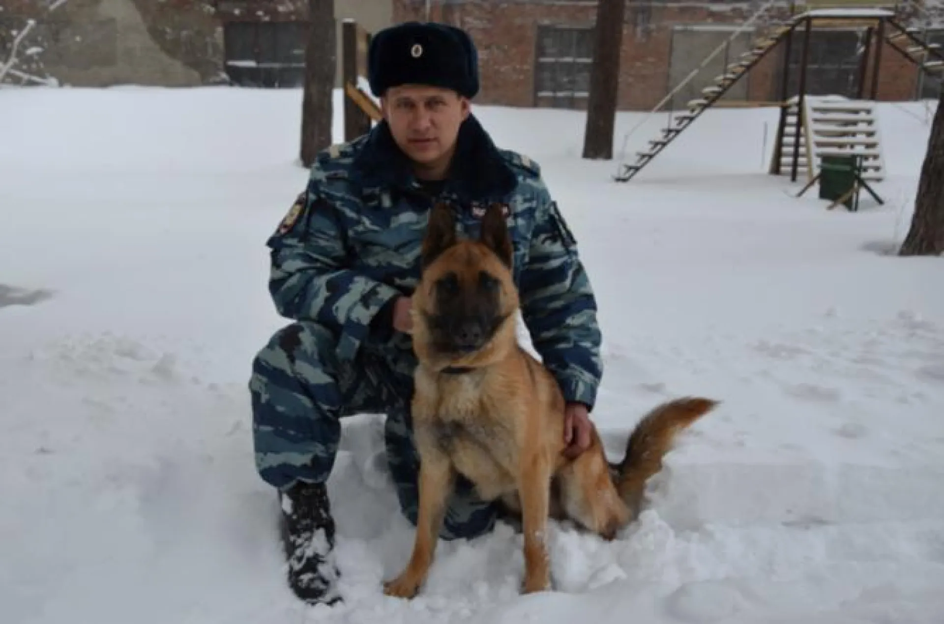 Служебный пёс помог бийским полицейским раскрыть кражу по горячим следам