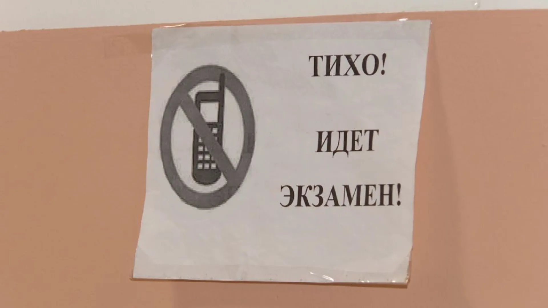 Более 9 тысяч выпускников Алтайского края написали ЕГЭ по математике