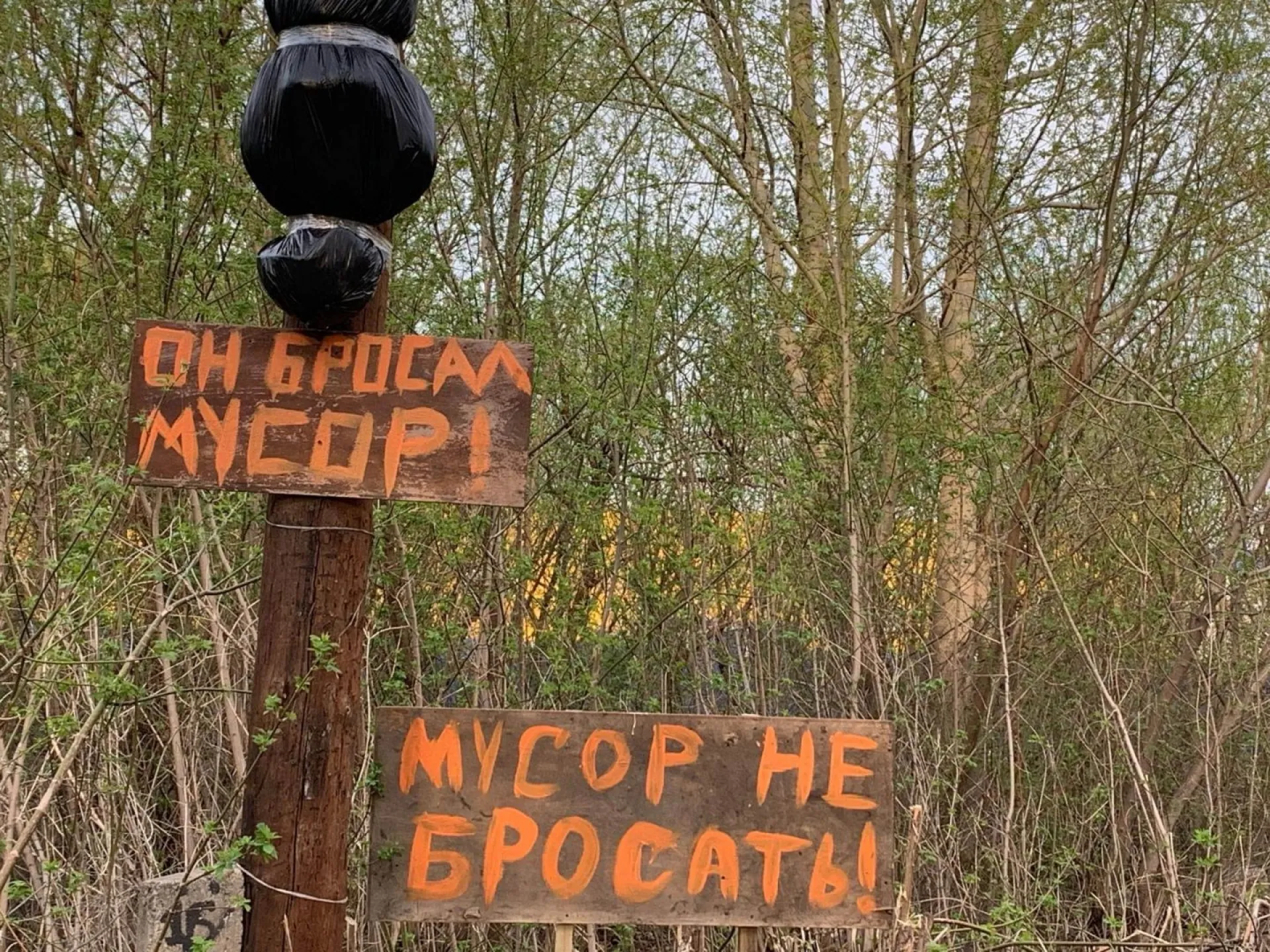 Пугающий арт-объект появился в Бийске Пугающий арт-объект появился в Бийске