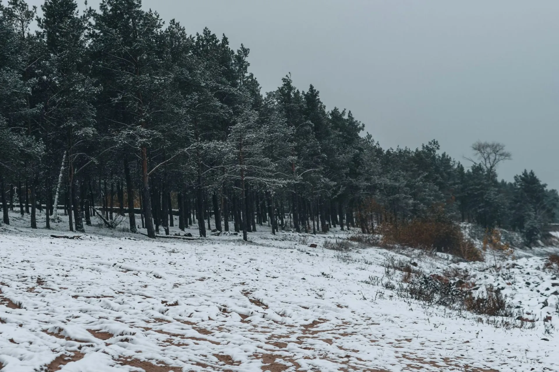 Федоров день: традиции и приметы на 8 февраля Федоров день: традиции и приметы на 8 февраля
