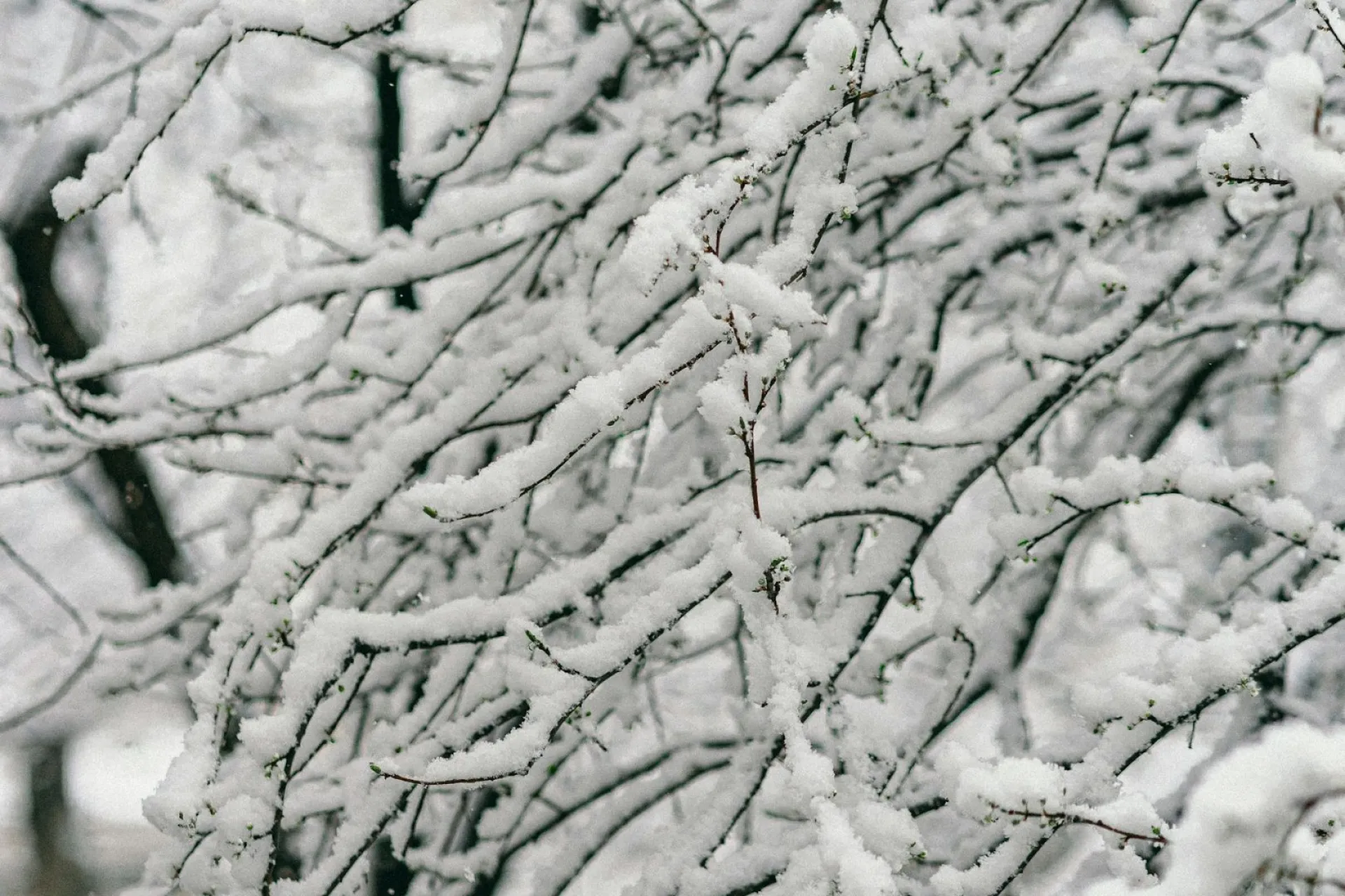 До +5: о погоде в Алтайском крае 9 февраля До +5: о погоде в Алтайском крае 9 февраля