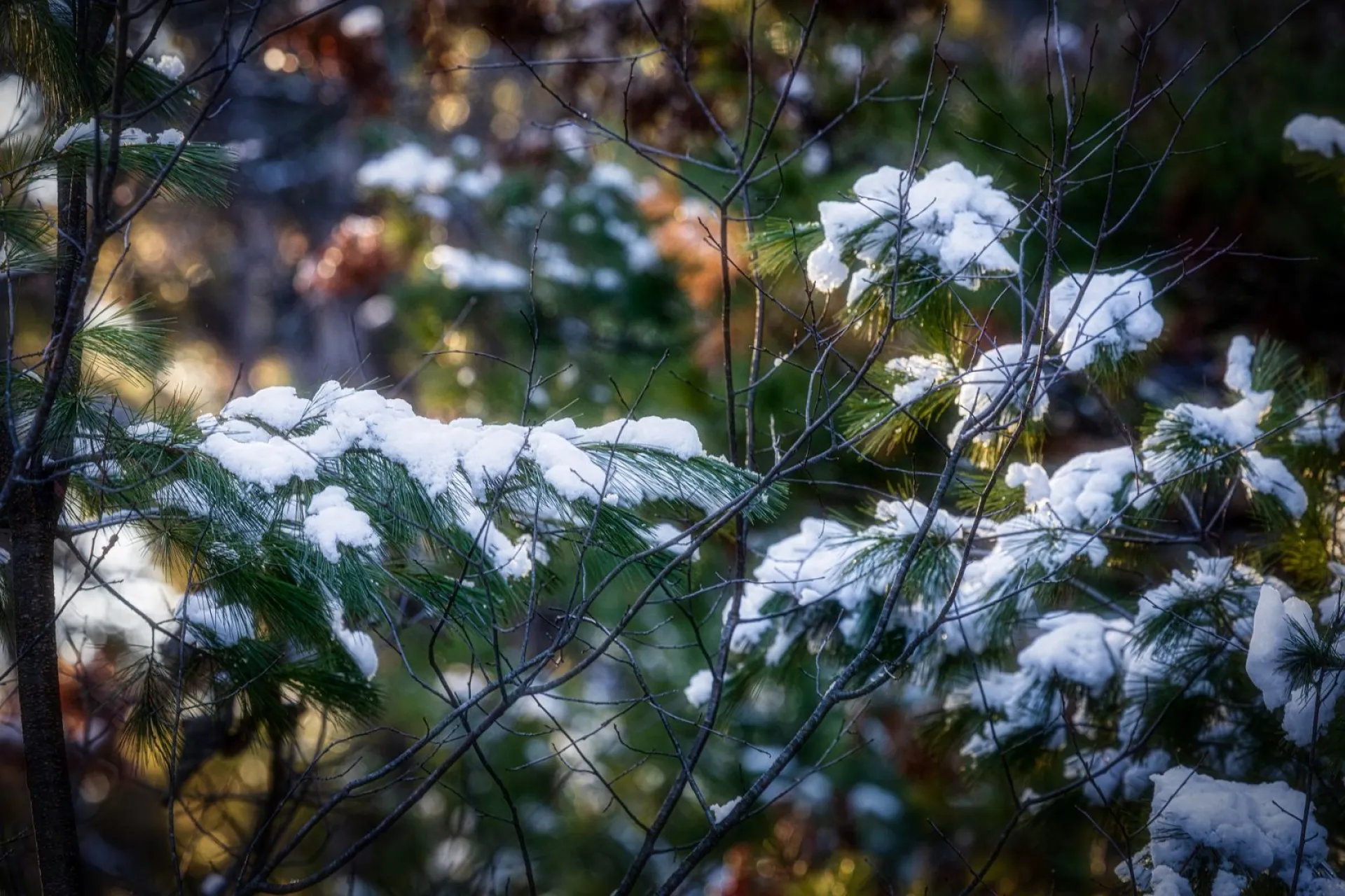 Тарас Кумашник: традиции и приметы на 10 марта Тарас Кумашник: традиции и приметы на 10 марта