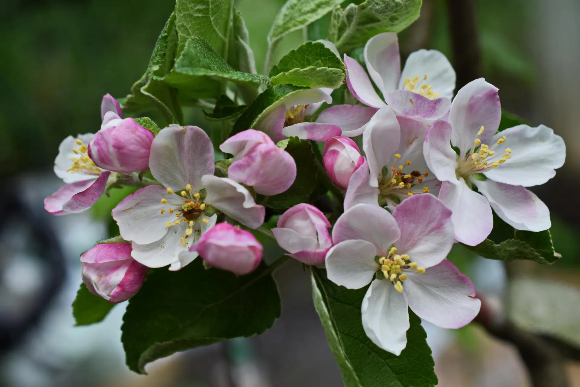 До +23: о погоде в Алтайском крае 12 мая До +23: о погоде в Алтайском крае 12 мая