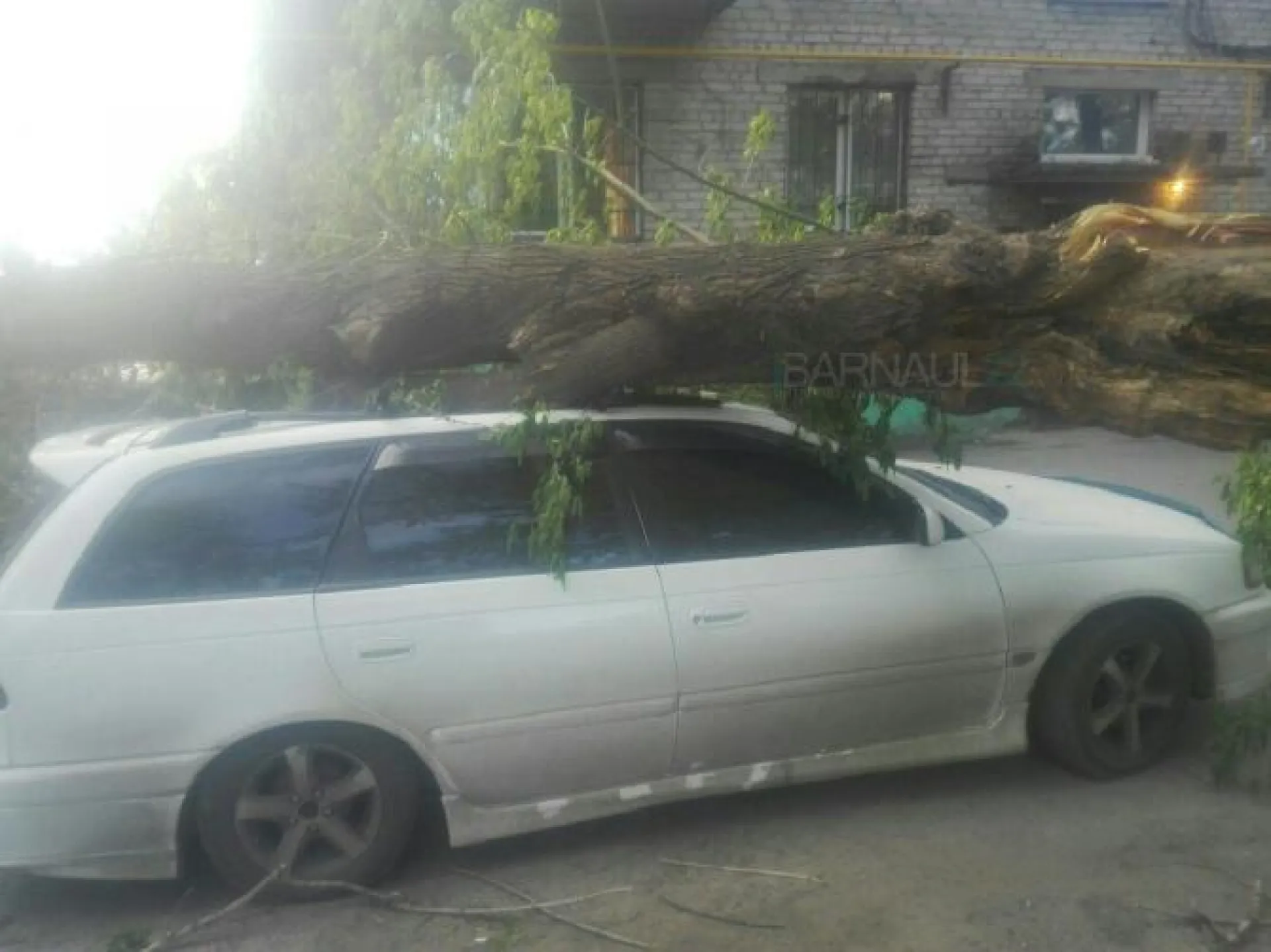 Ураган повалил деревья в Барнауле 