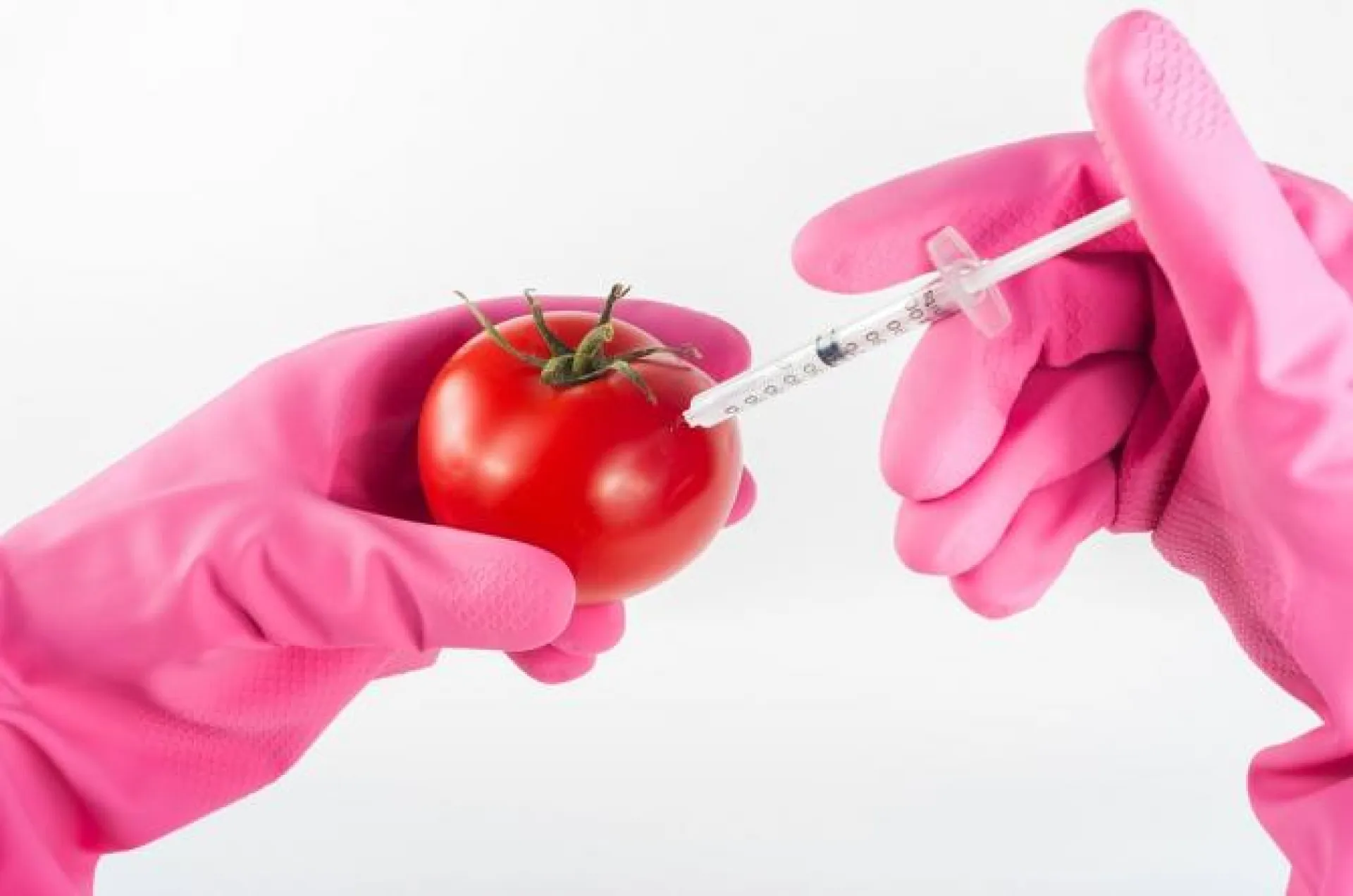 Продукты с ГМО отметят специальным значком в России Продукты с ГМО отметят специальным значком в России