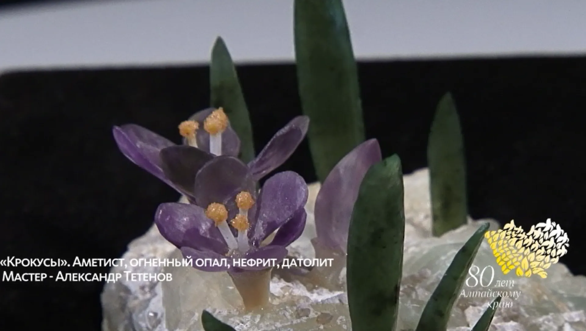 «Музейная редкость» - крокусы