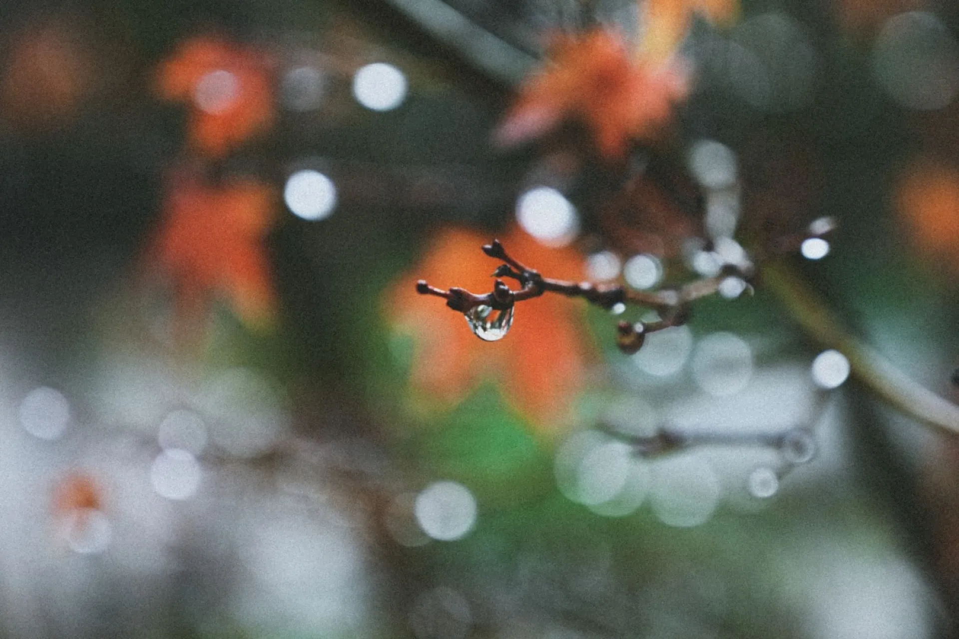 Временами дождь: о погоде в Алтайском крае 3 ноября Временами дождь: о погоде в Алтайском крае 3 ноября