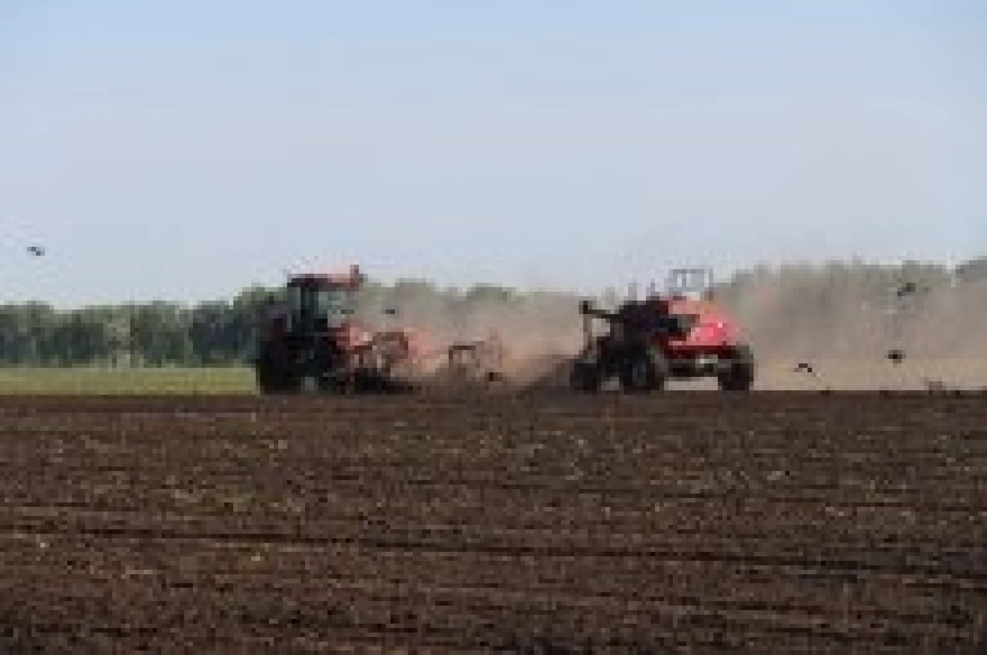 Посевная выполнена на 90% в Алтайском крае