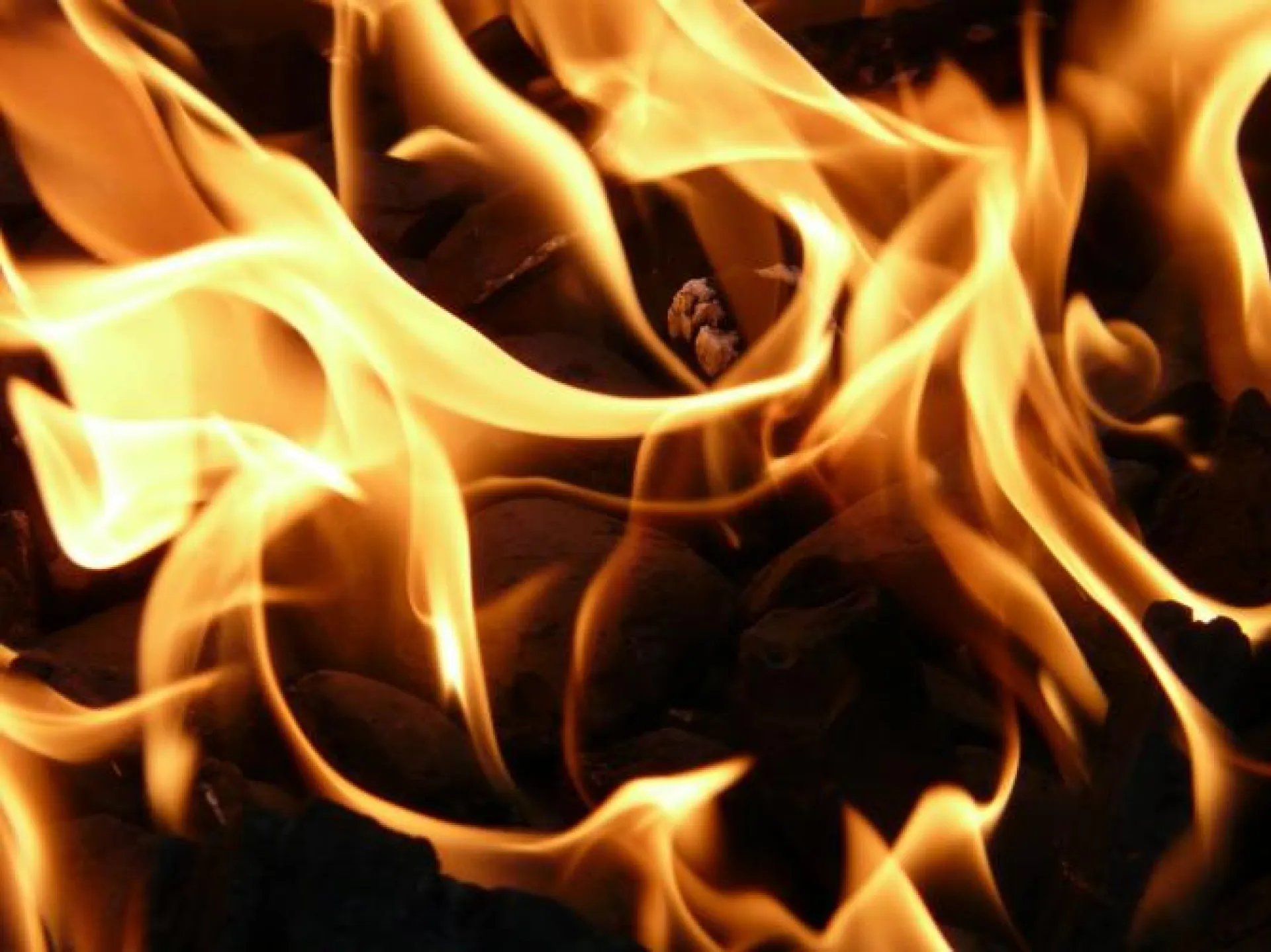 Пожары в алтайских полях тушат 87 человек