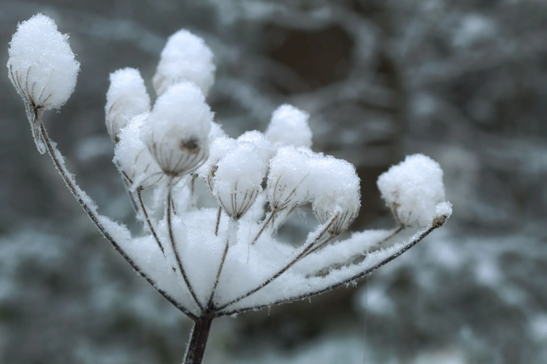 Преимущественно без осадков: о погоде в Алтайском крае 4 ноября
