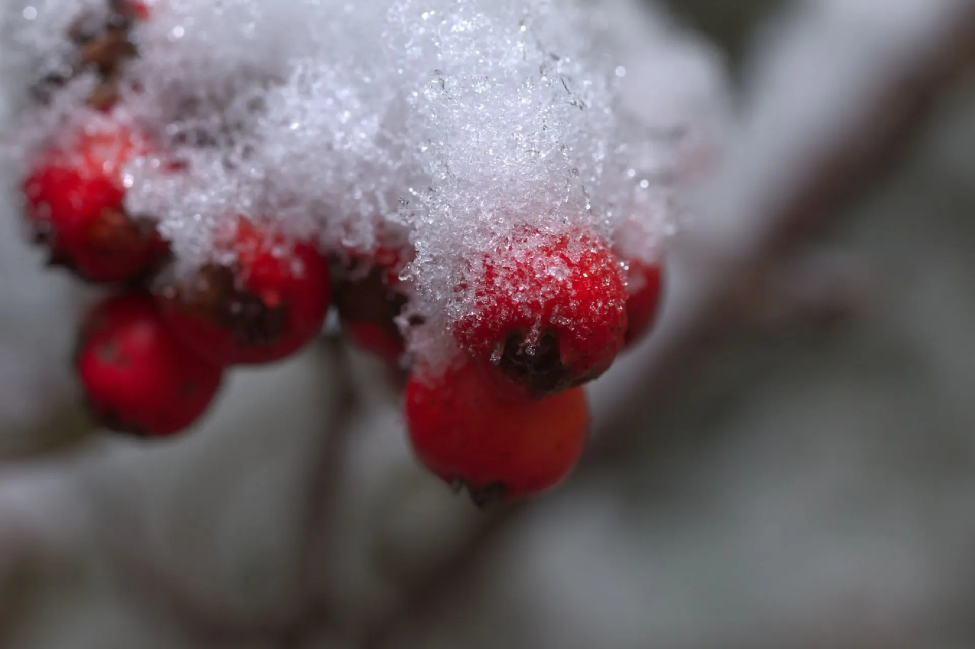 Артемьев день: традиции и приметы на 2 ноября