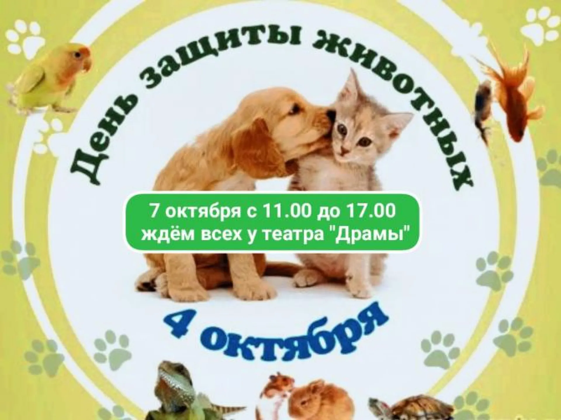 Приют «Ласка» приглашает барнаульцев отметить Международный день защиты животных Приют «Ласка» приглашает барнаульцев отметить Международный день защиты животных