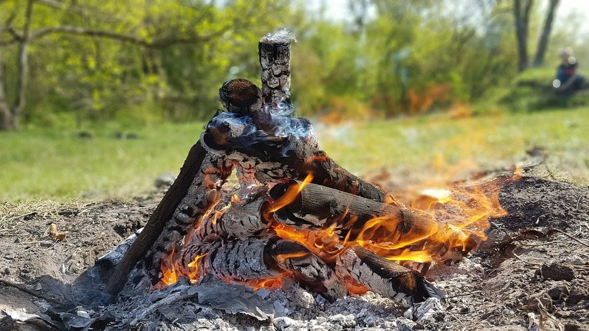 Ограничение на пребывание в лесу ввели на 20 дней в Алтайском крае Ограничение на пребывание в лесу ввели на 20 дней в Алтайском крае