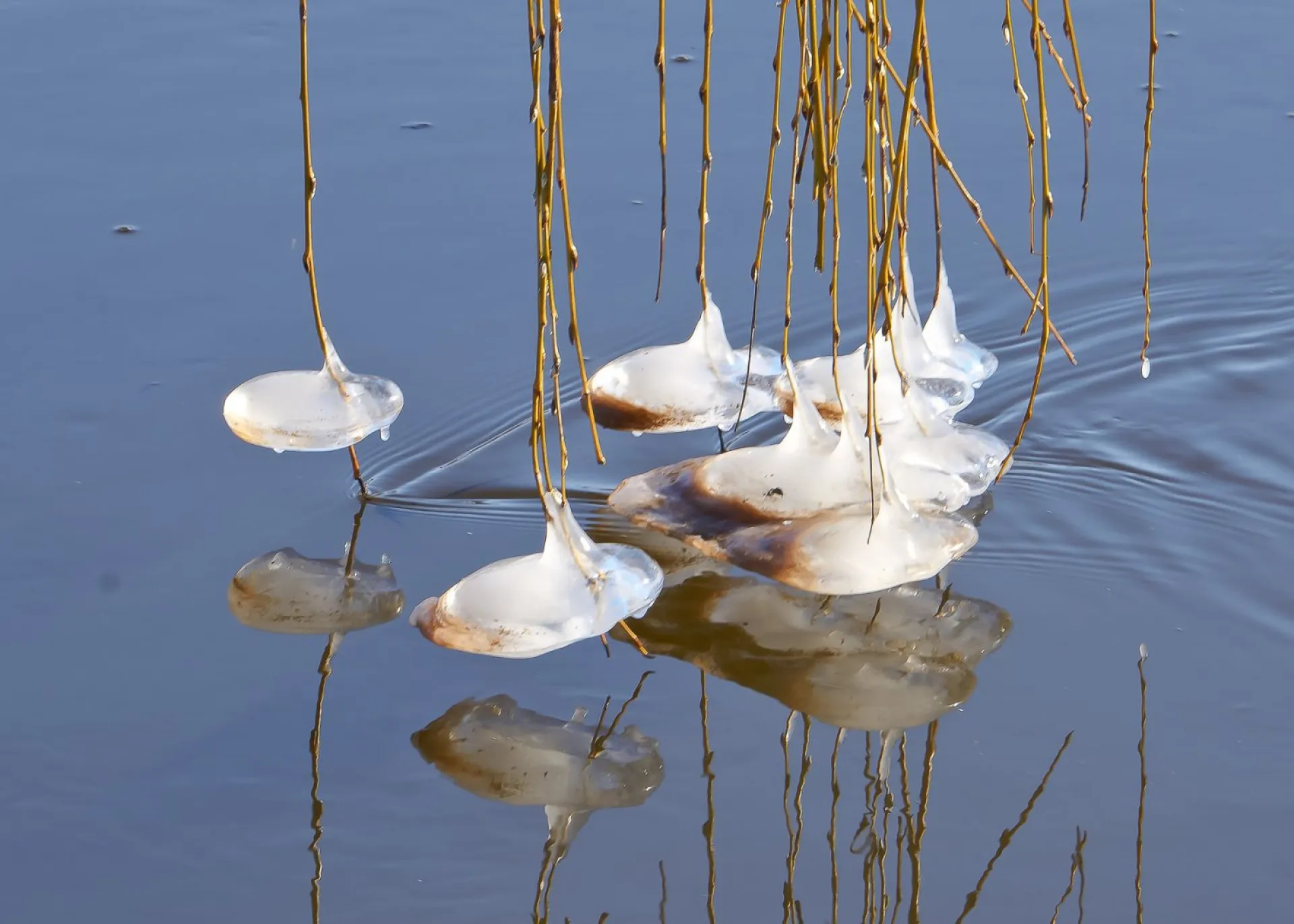Венедиктов день: традиции и приметы на 27 марта Венедиктов день: традиции и приметы на 27 марта