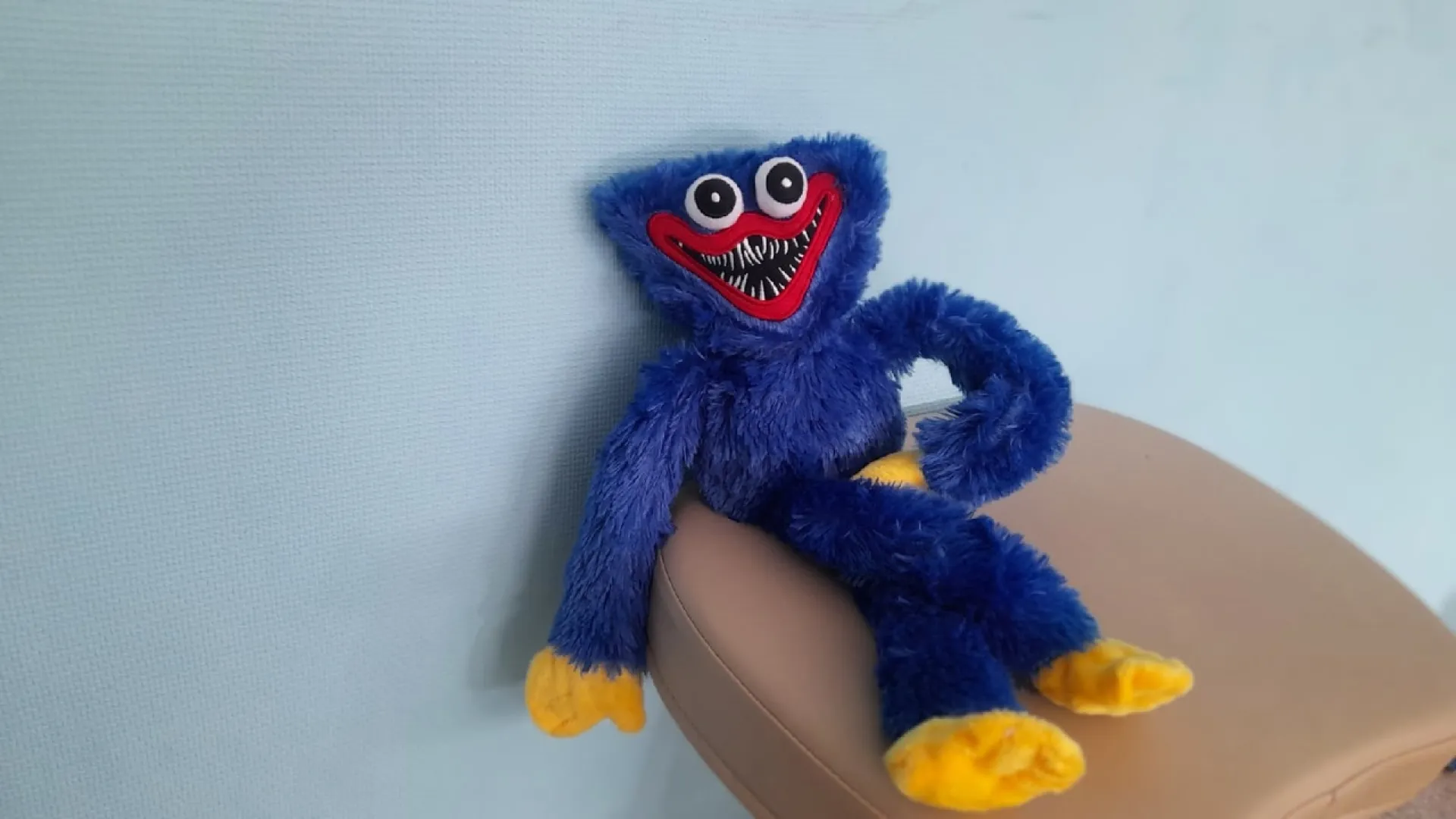 Популярных игрушек-монстров Huggy Wuggy в Роскачестве проверят на угрозу детской психике