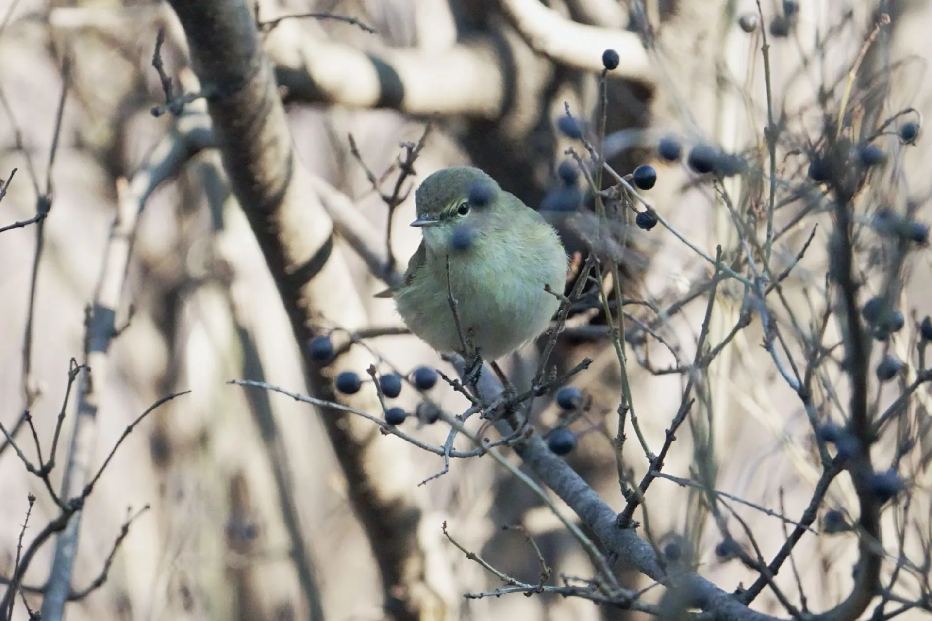 Параскева Пятница: традиции и приметы на 10 ноября