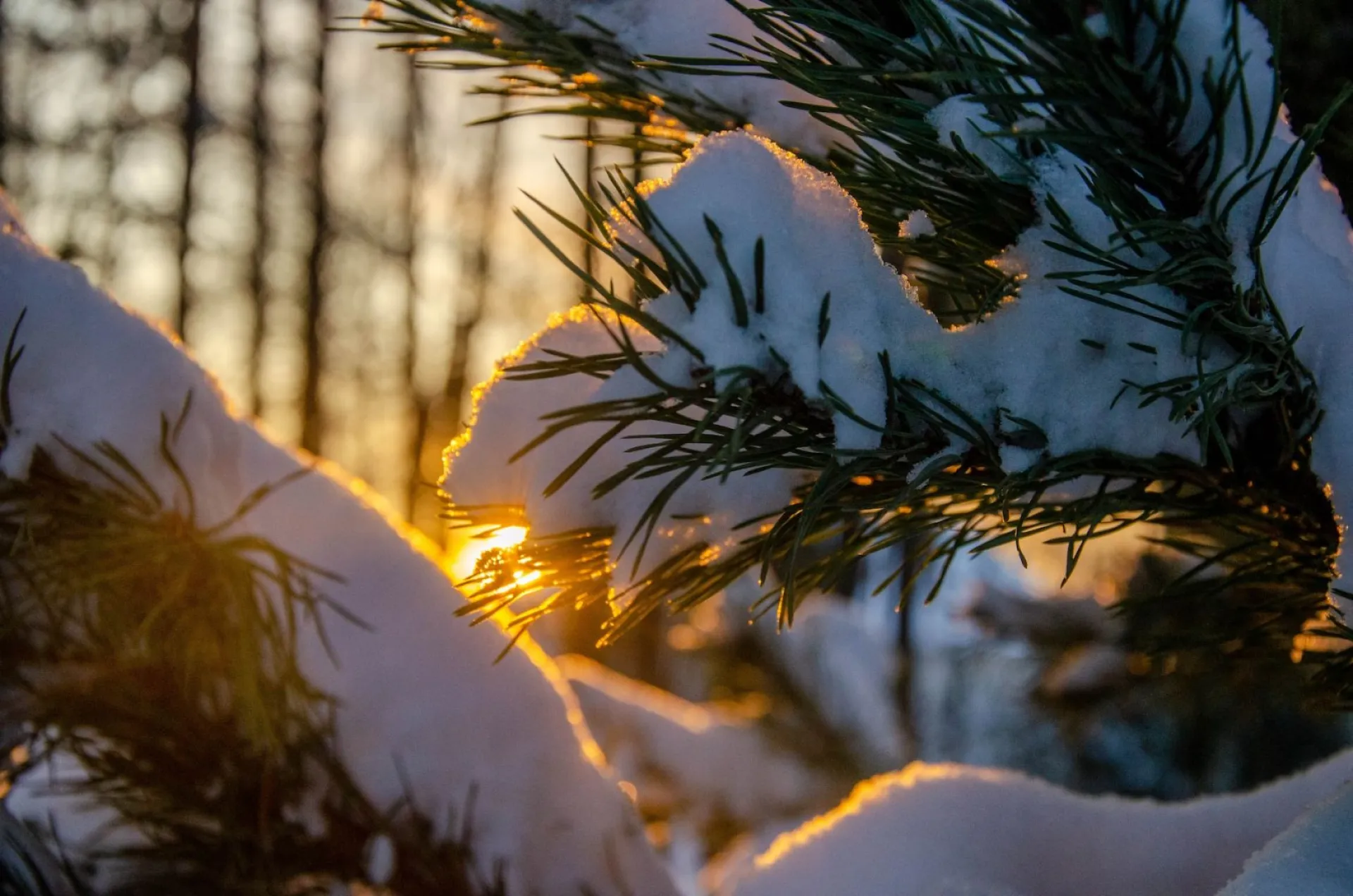 Юрьев день: традиции и приметы на 9 декабря