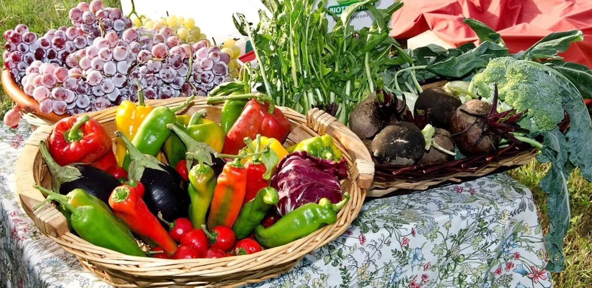 Продуктовые ярмарки прошли в пригороде Барнаула