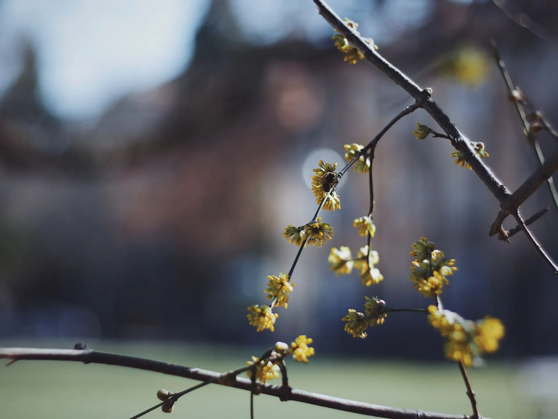 Гавриил Благовест: традиции и приметы на 8 апреля Гавриил Благовест: традиции и приметы на 8 апреля