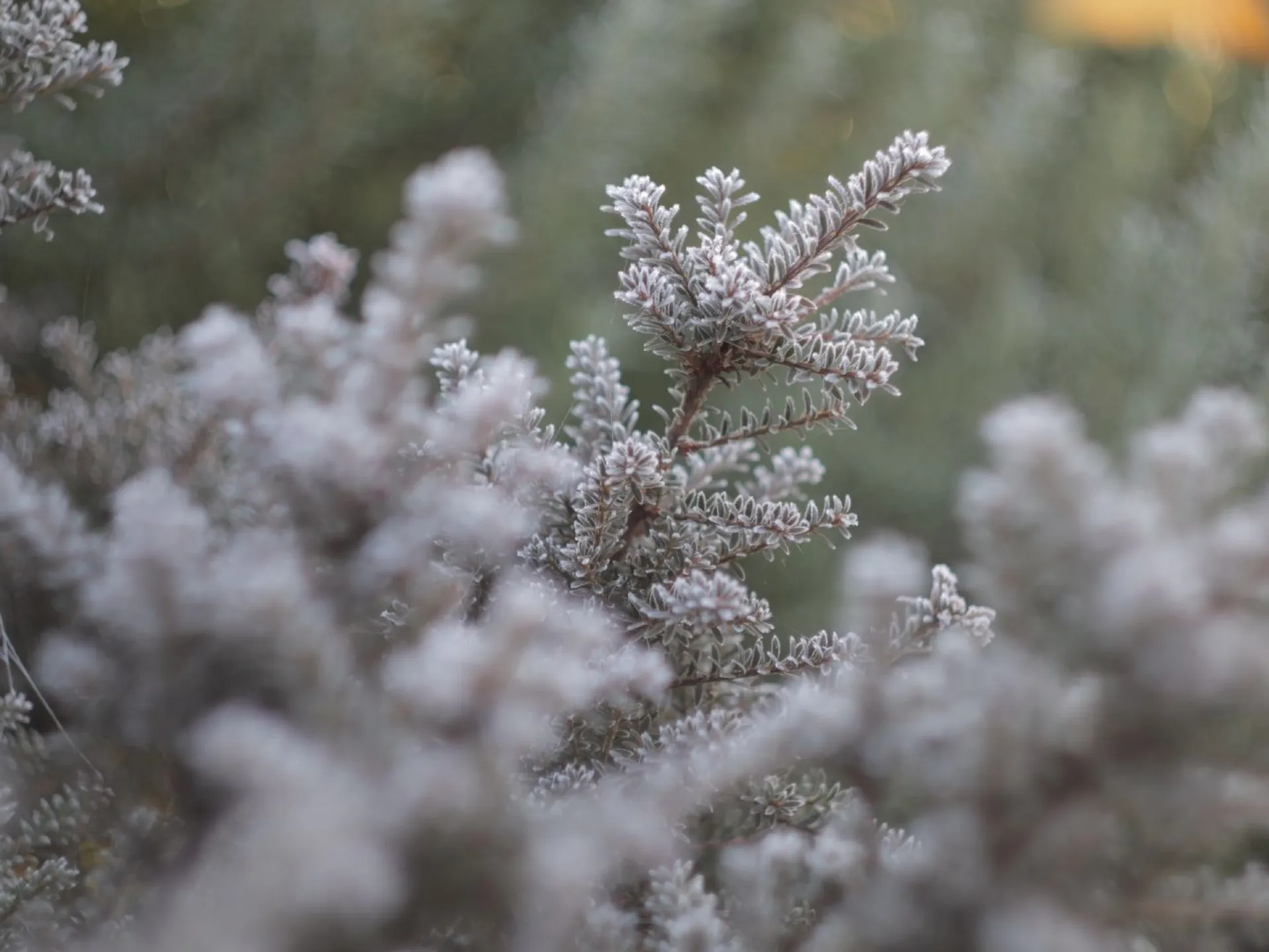 Местами снег: о погоде в Алтайском крае 24 ноября Местами снег: о погоде в Алтайском крае 24 ноября