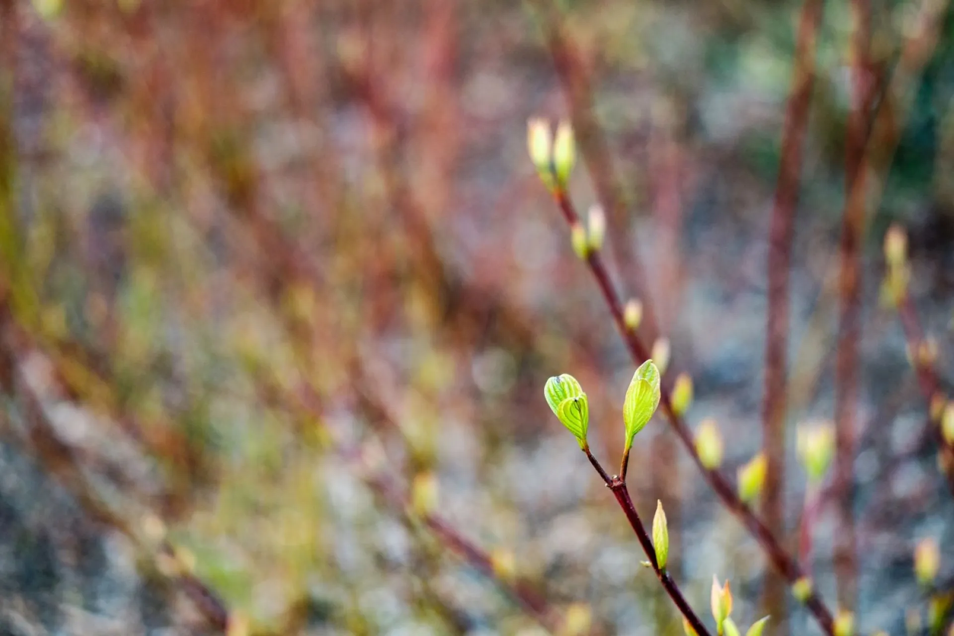 До +18: о погоде в Алтайском крае 14 апреля До +18: о погоде в Алтайском крае 14 апреля