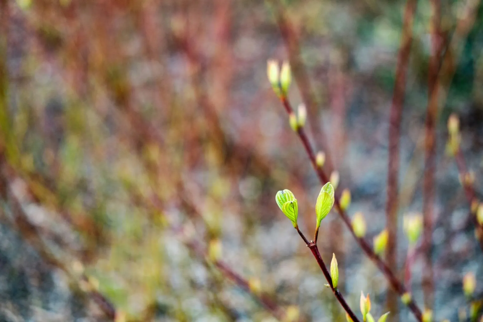 Кирилл Катаник: традиции и приметы на 3 апреля