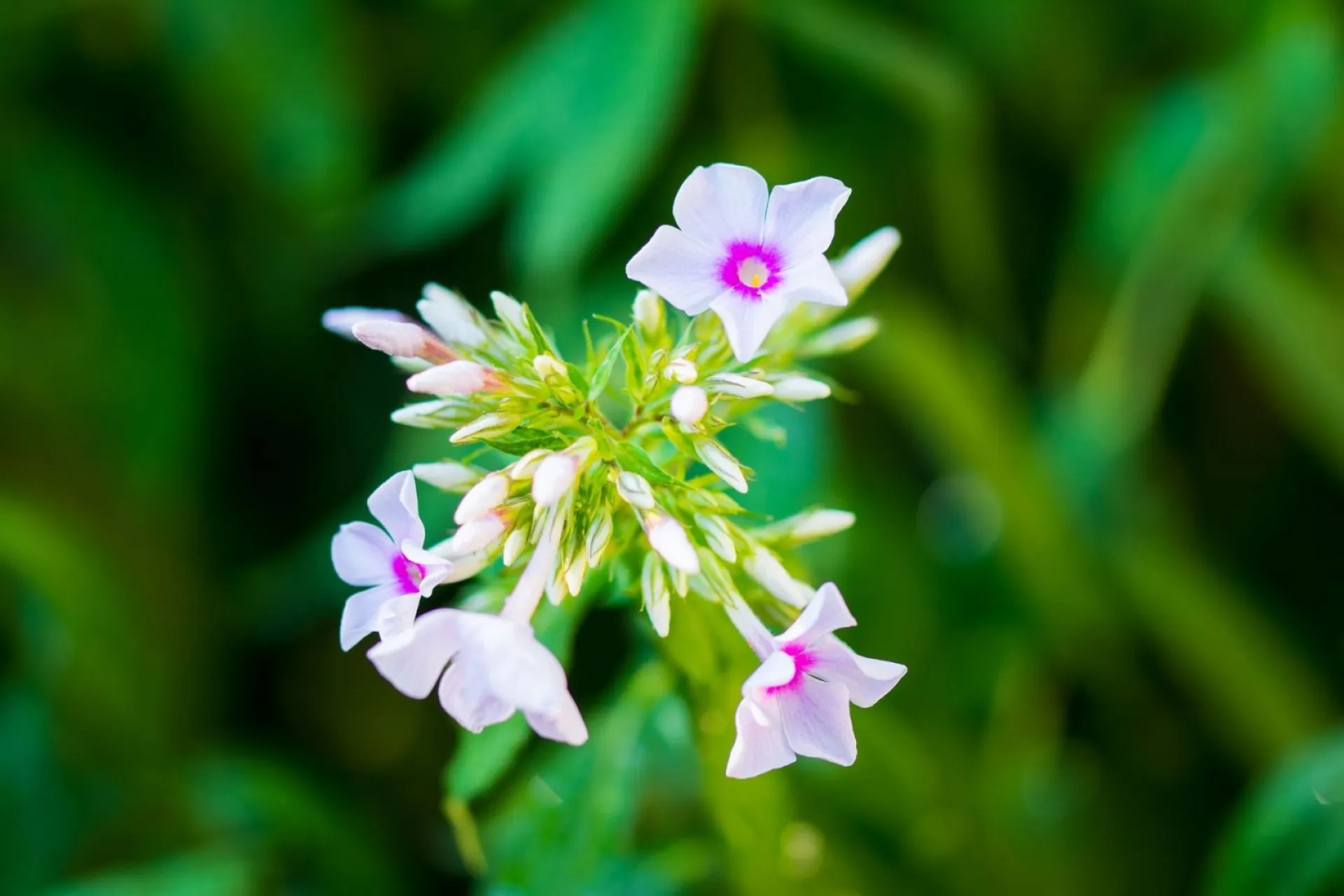 До +32: о погоде в Алтайском крае 27 июля До +32: о погоде в Алтайском крае 27 июля