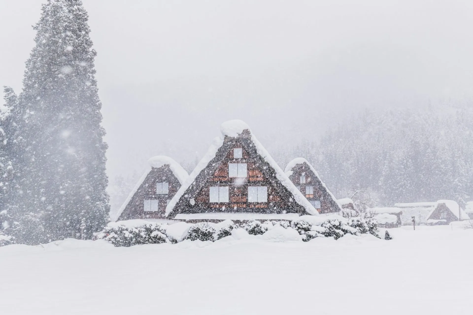 Ефремов день: традиции и приметы на 10 февраля Ефремов день: традиции и приметы на 10 февраля