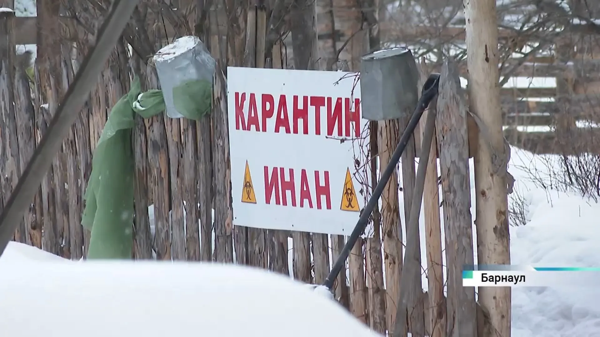 В хозяйстве под Барнаулом действует карантин из-за ИНАН – опасной болезни лошадей