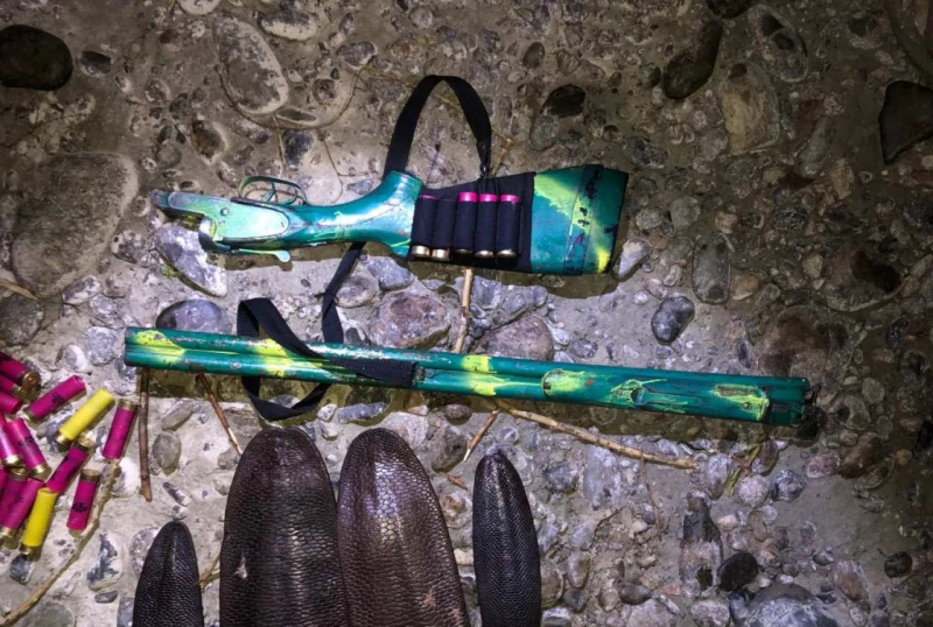 Жителя Алтайского края задержали за незаконную охоту на бобров Жителя Алтайского края задержали за незаконную охоту на бобров