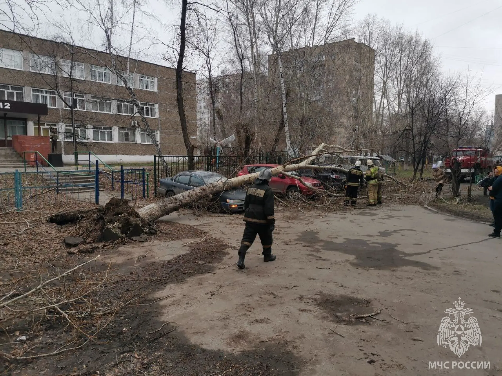 В Алтайском крае два человека получили травмы при сильном ветре