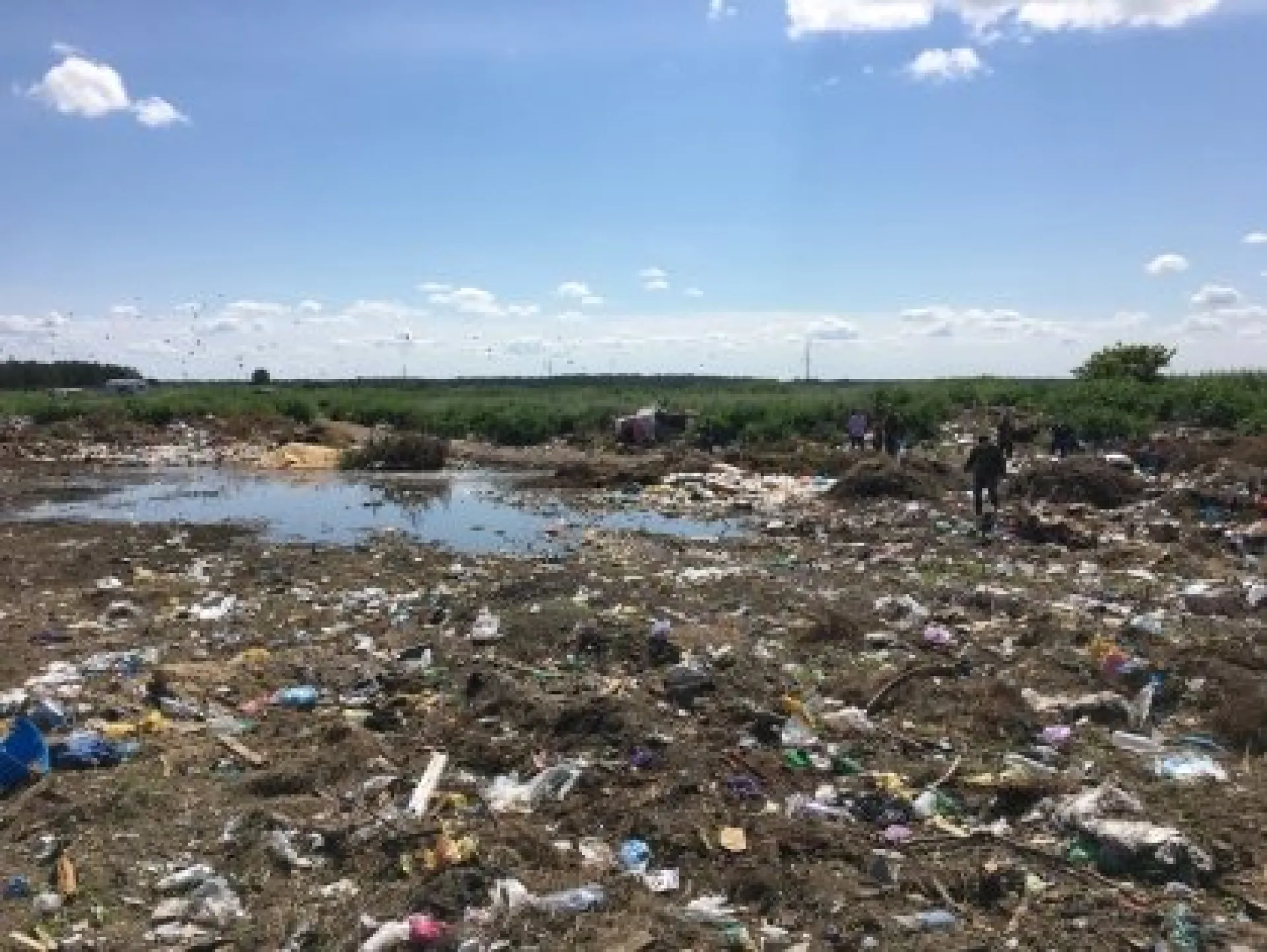Алтайский предприниматель обвиняется в захоронении химических веществ с нарушением установленных правил Алтайский предприниматель обвиняется в захоронении химических веществ с нарушением установленных правил