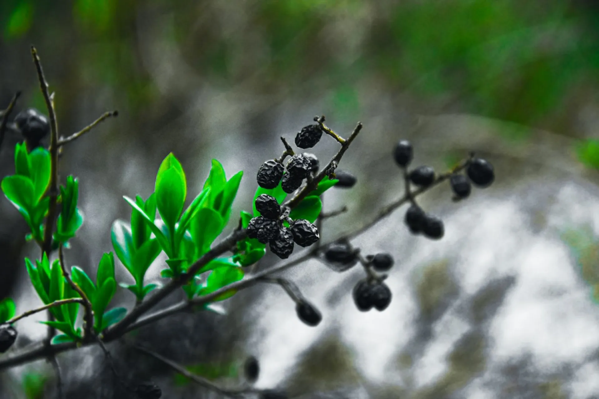 Агафон Огуменник: традиции и приметы на 4 сентября Агафон Огуменник: традиции и приметы на 4 сентября