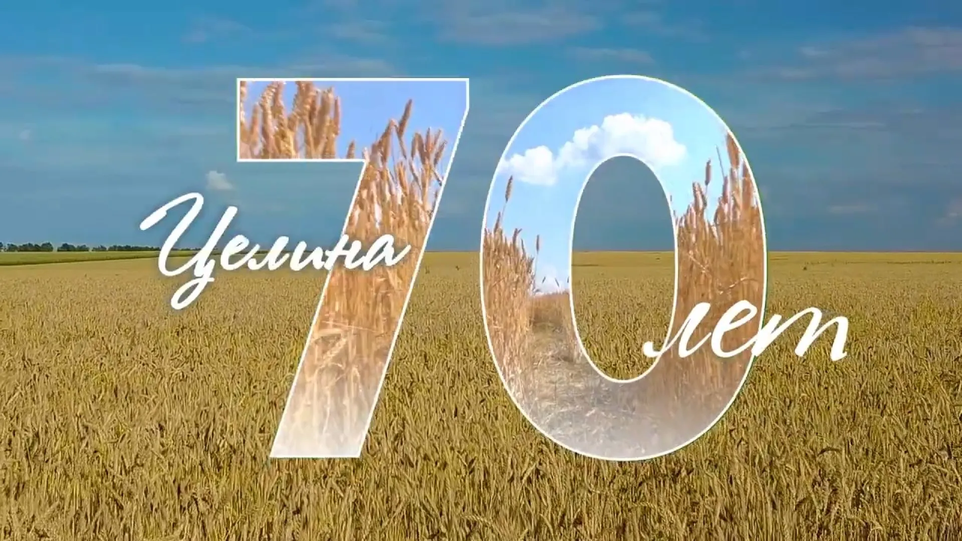 День в истории: целина 1